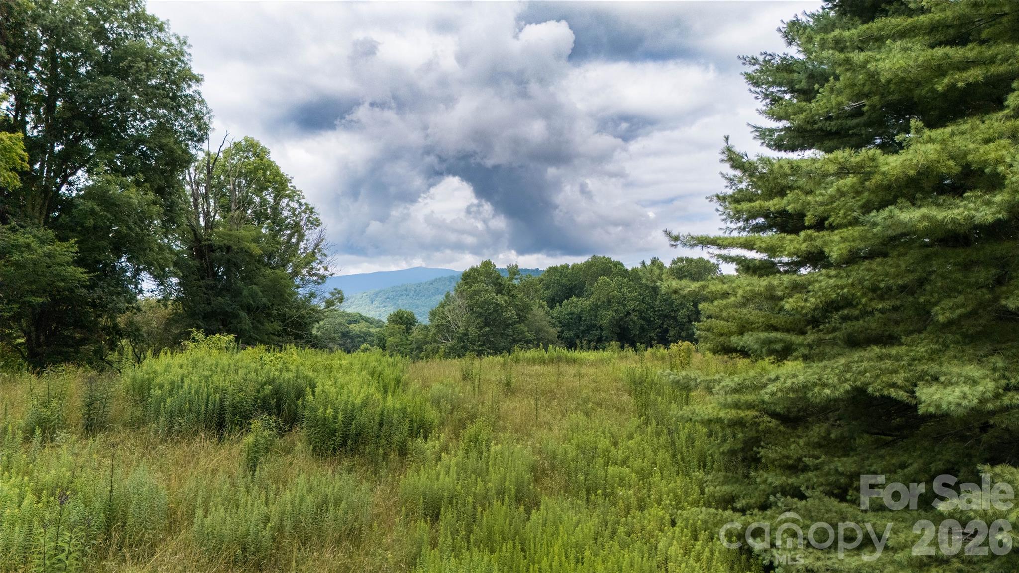 2027 Stamey Branch Road Property Photo 10