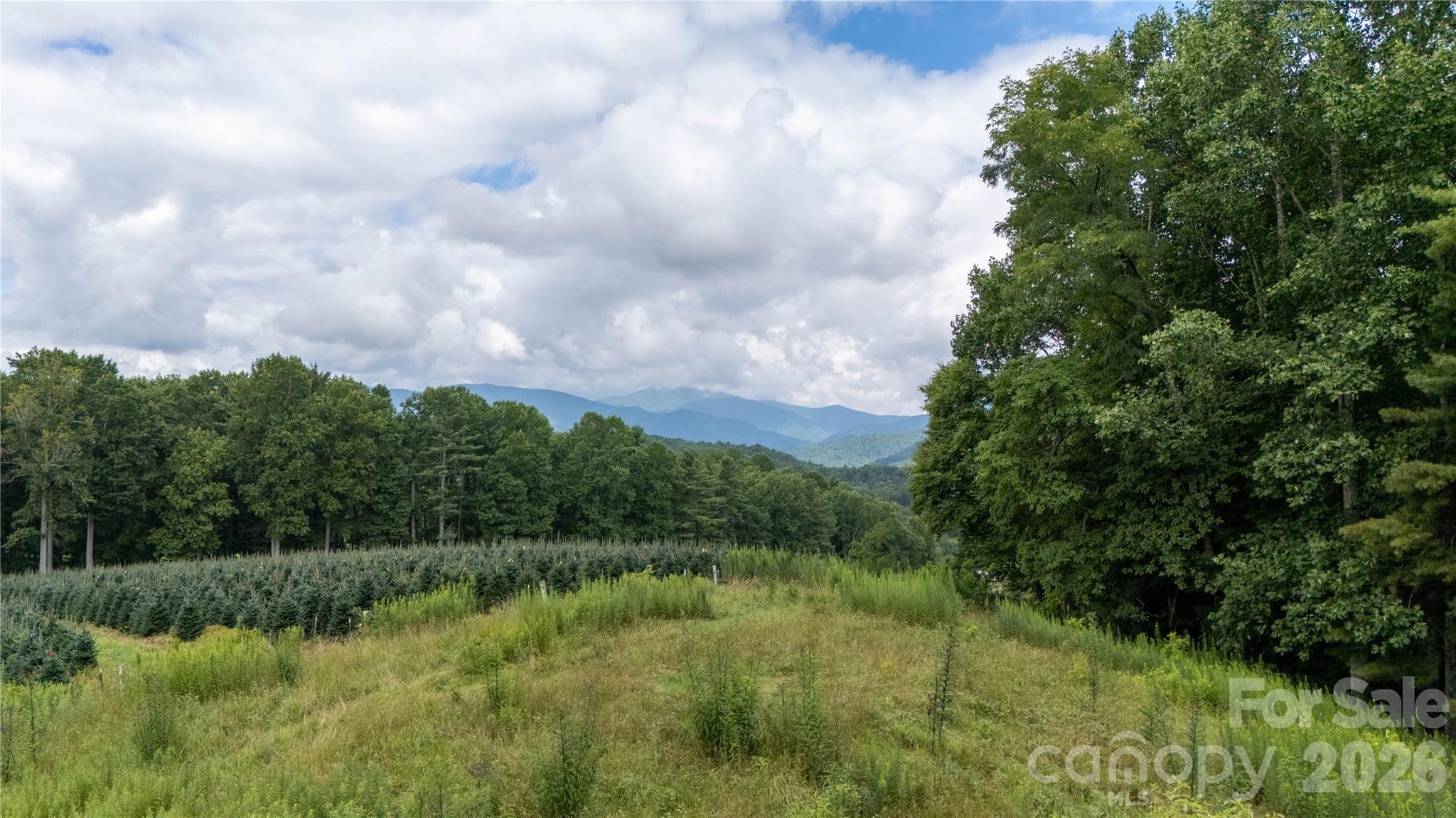 2027 Stamey Branch Road Property Photo 11