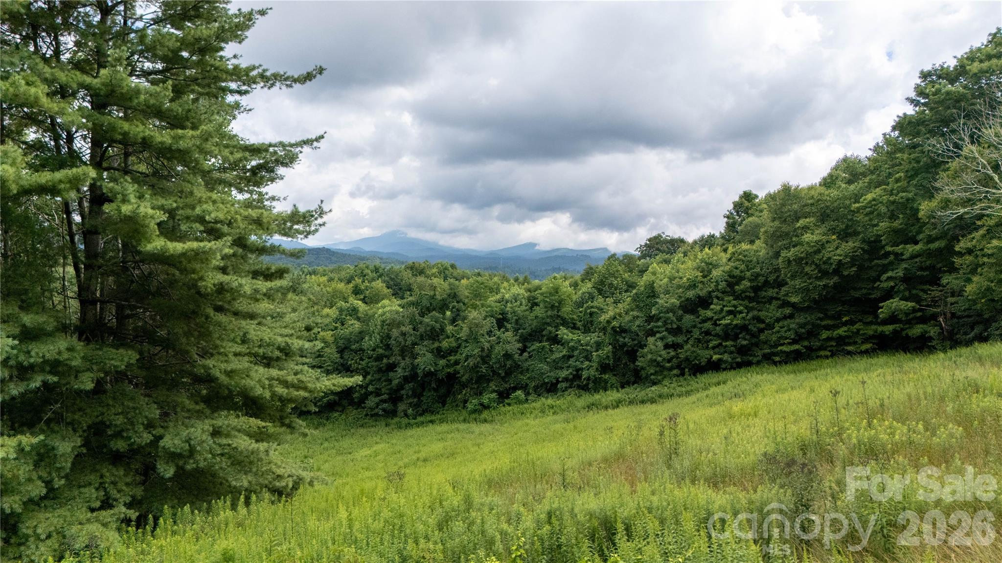 2027 Stamey Branch Road Property Photo 12