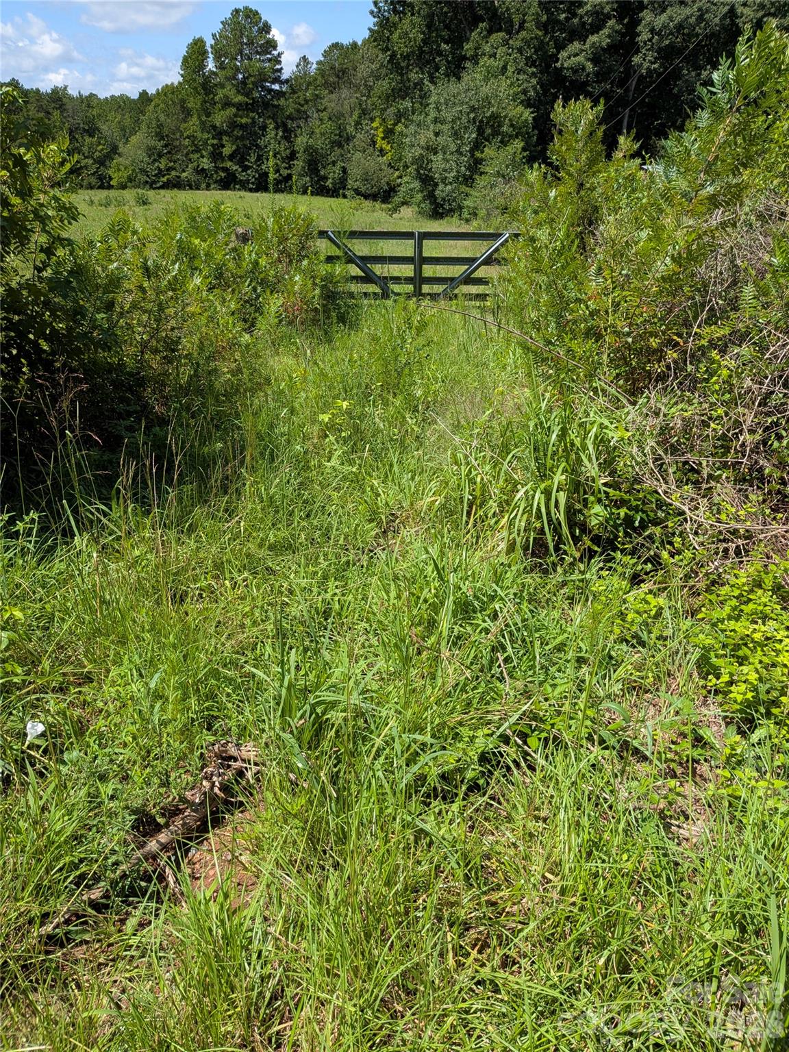 0 Freedom Mill Road 9 Property Photo 3