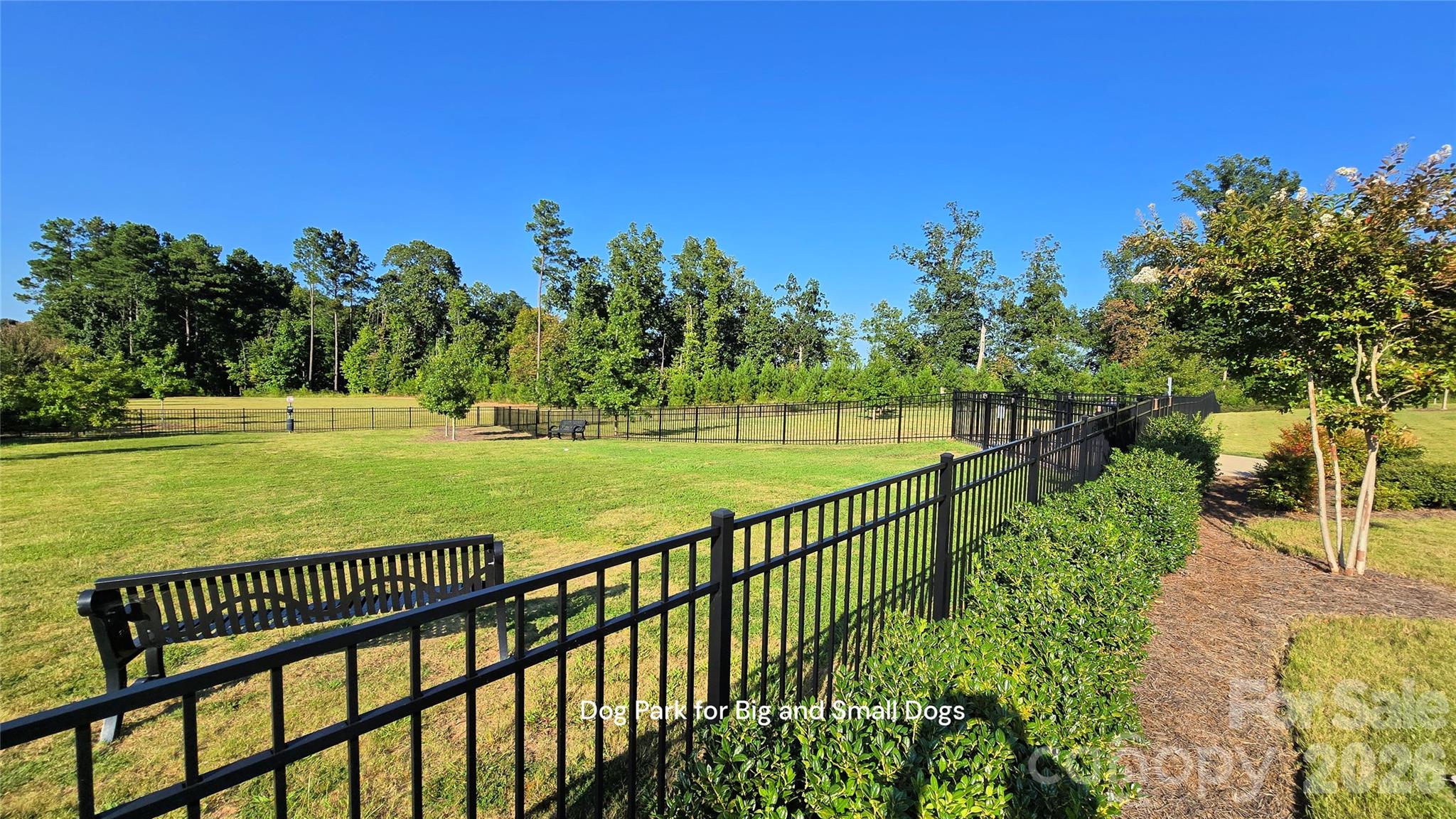 1017 Dali Boulevard Property Photo 43
