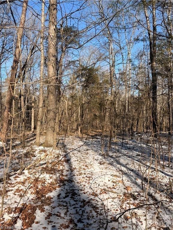 00 Stokes Ferry Road Property Photo 3