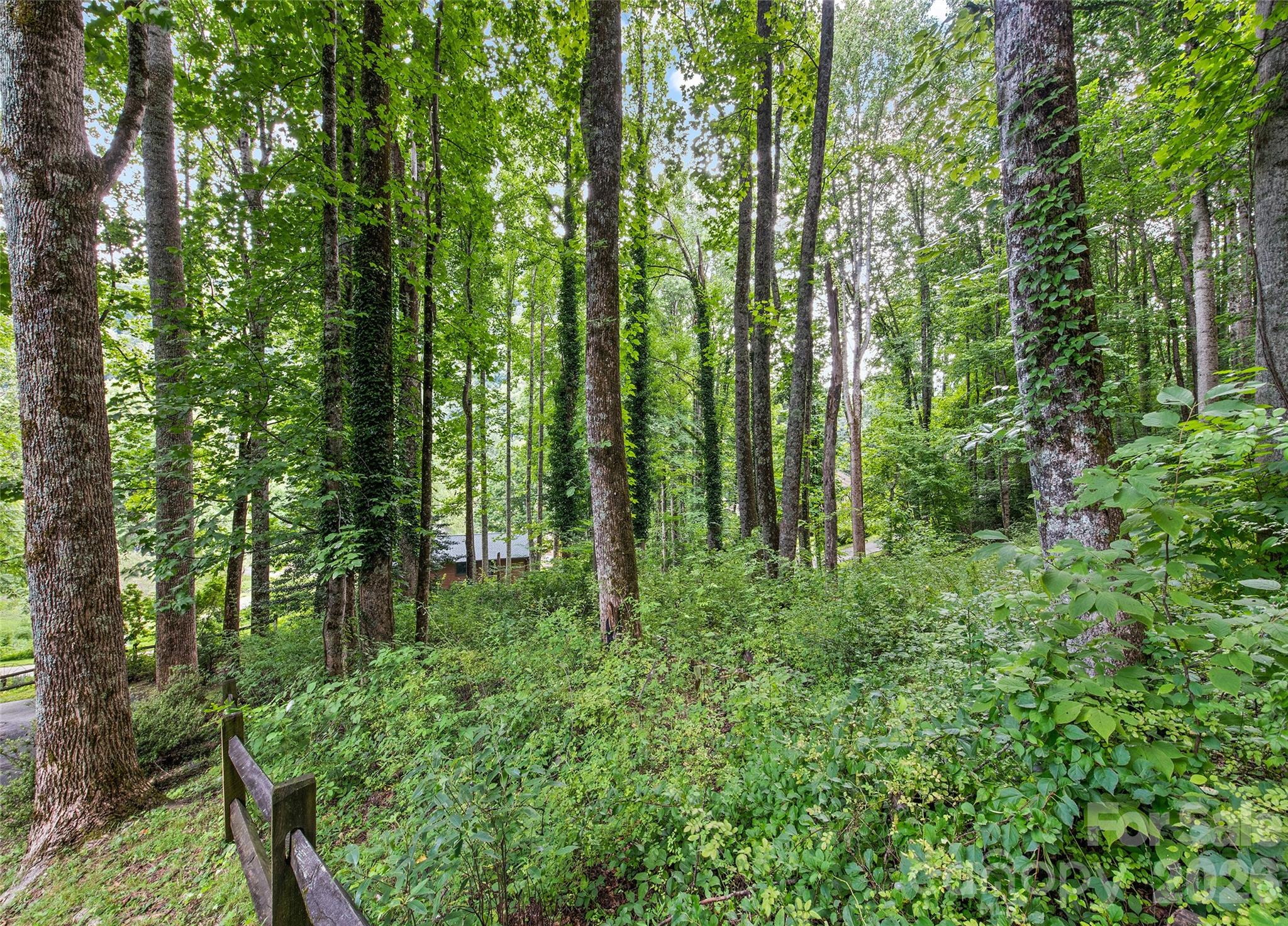 294 Laurel Branch Road Property Photo 32