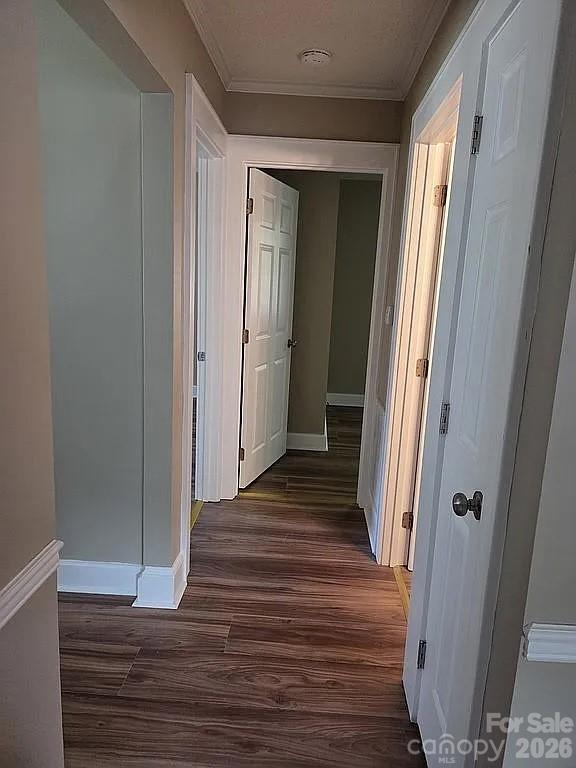 494 Cook Street Property Photo 9