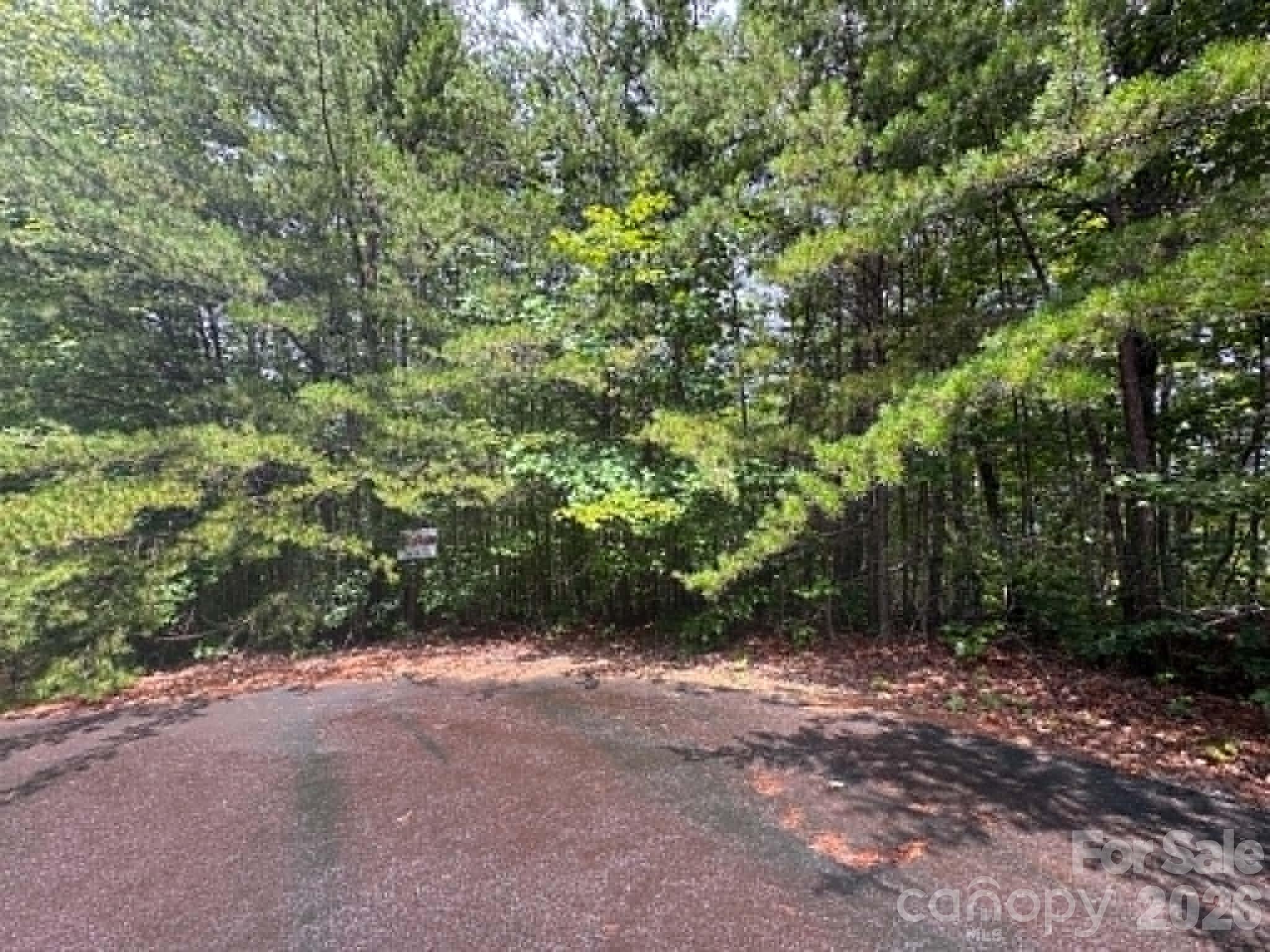 Tbd Fire Tower Road Property Photo 1