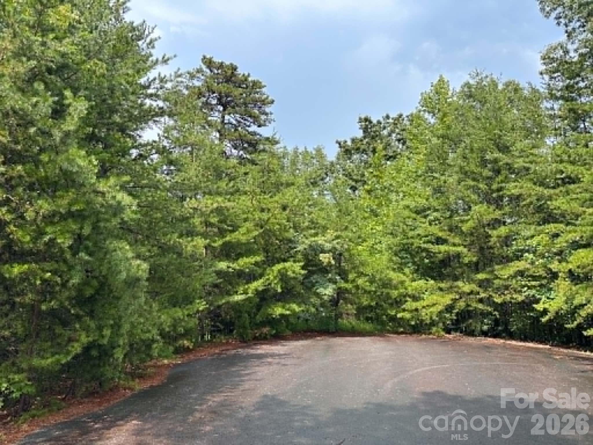 Tbd Fire Tower Road Property Photo 2