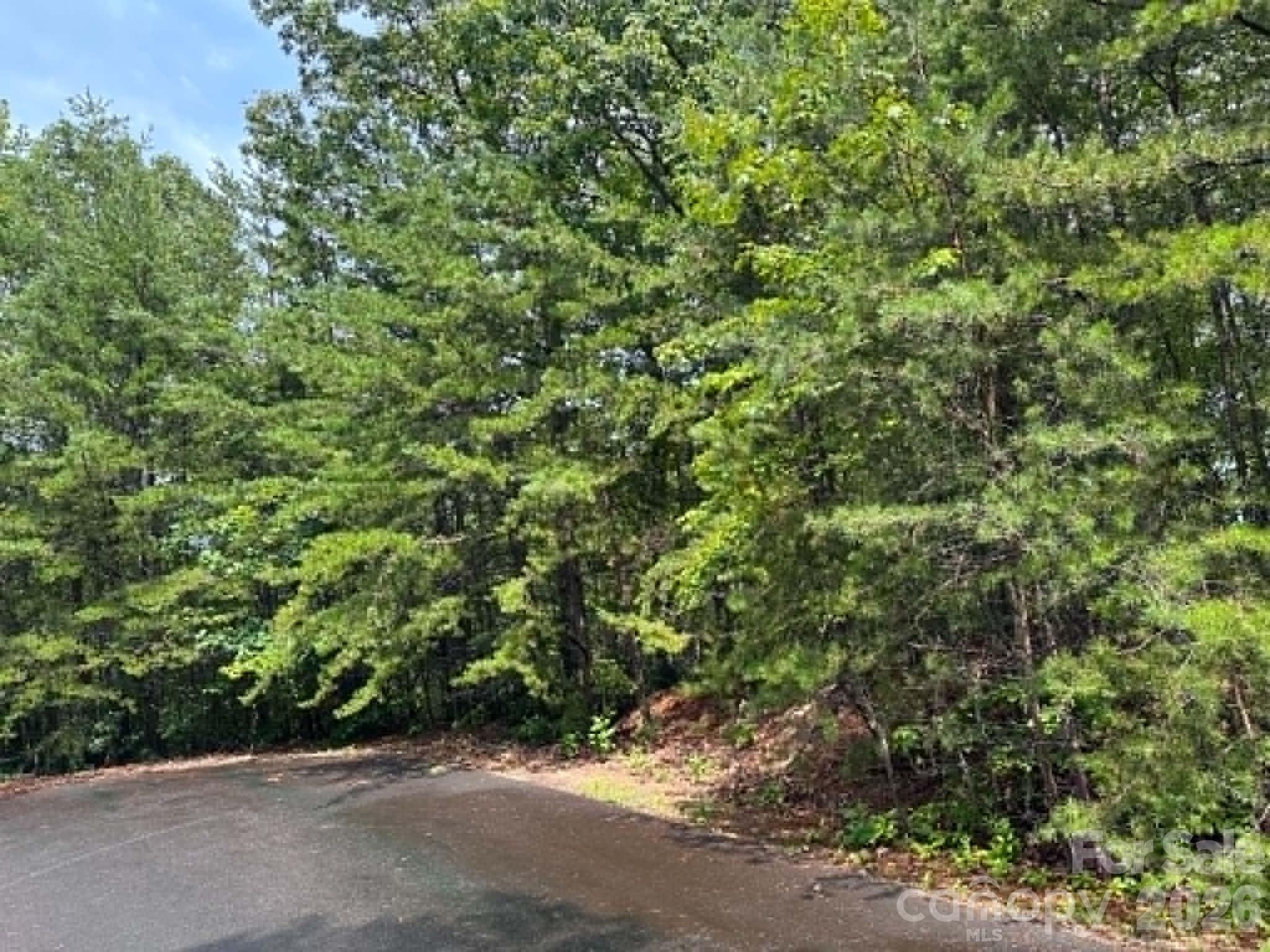 Tbd Fire Tower Road Property Photo 3