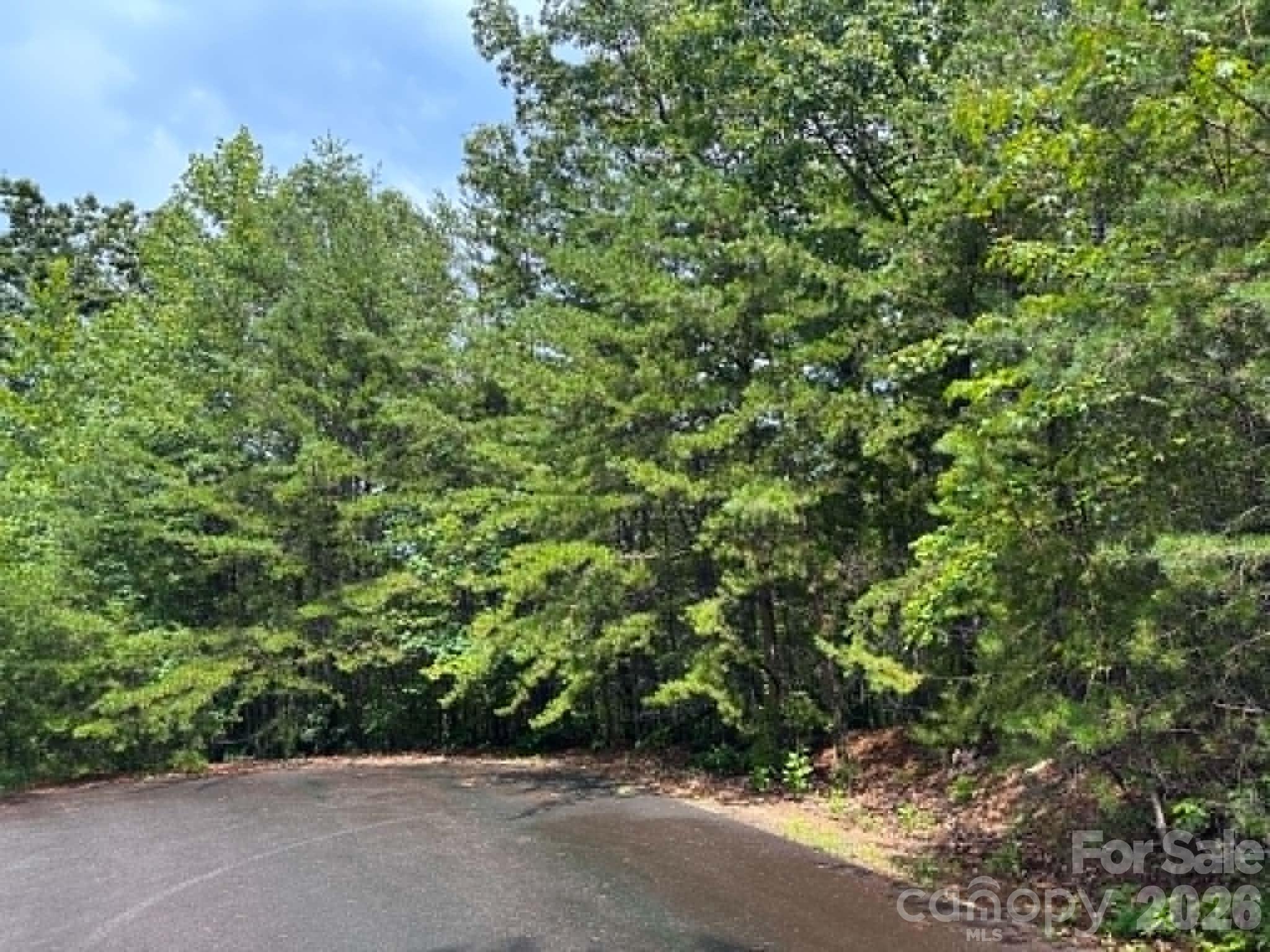 Tbd Fire Tower Road Property Photo 4