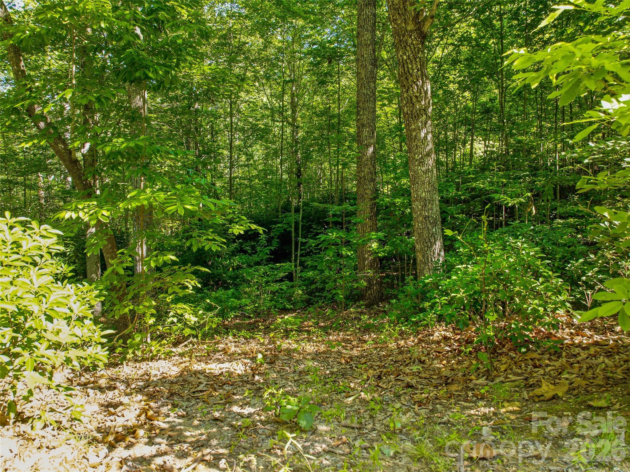 0000 Red Bud Lane 3-f Property Photo 3