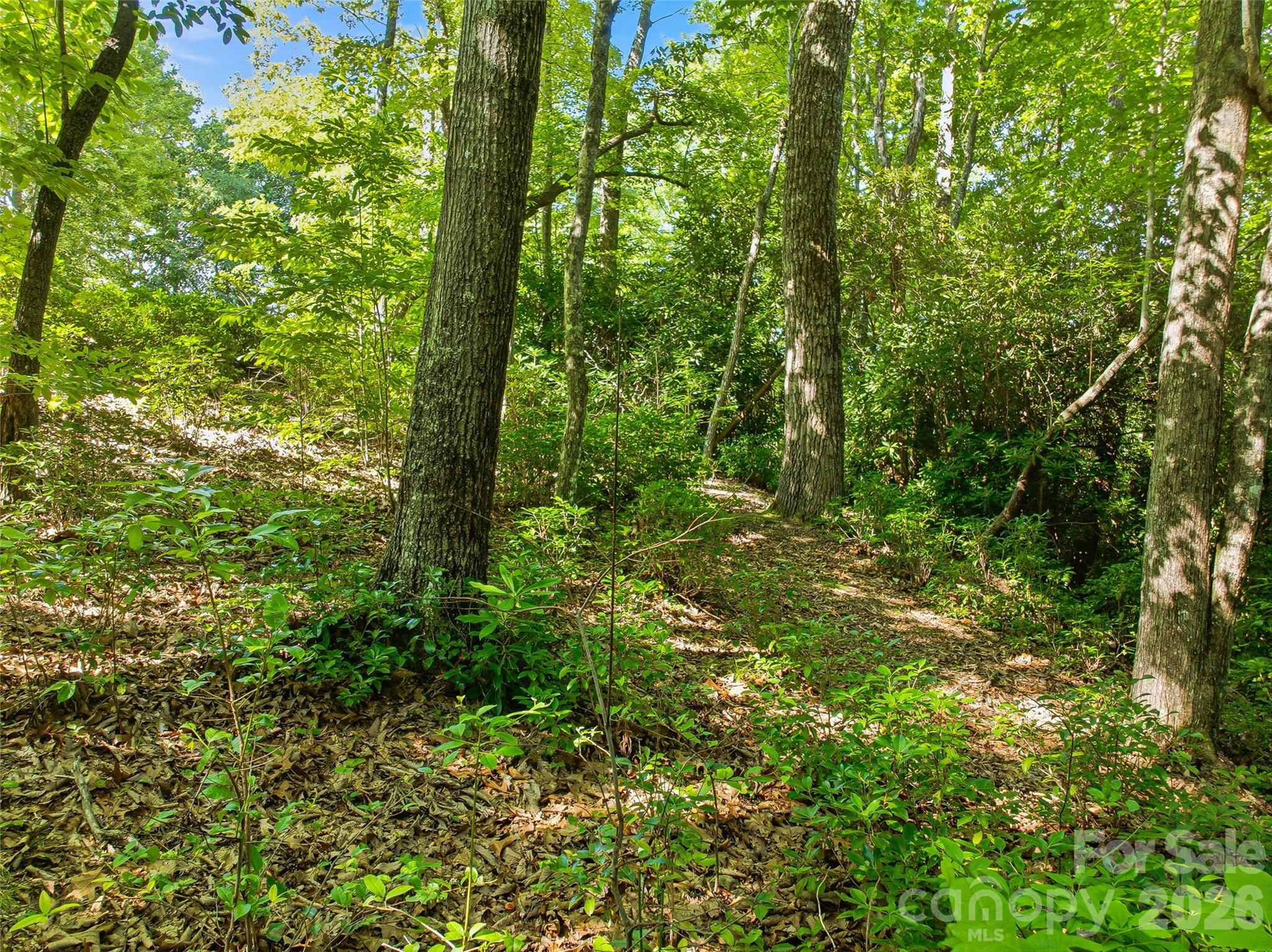 0000 Red Bud Lane 3-f Property Photo 11
