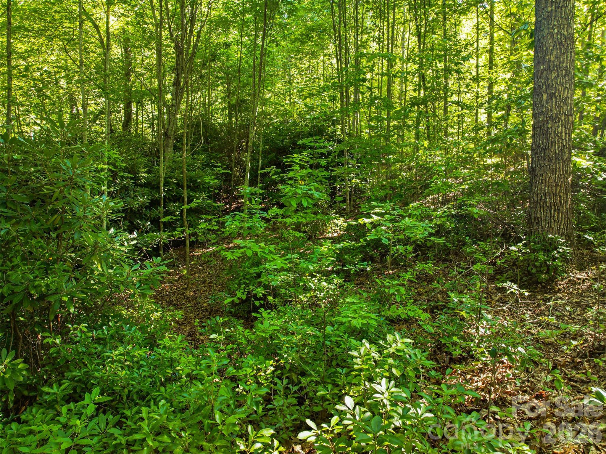 0000 Red Bud Lane 3-f Property Photo 12