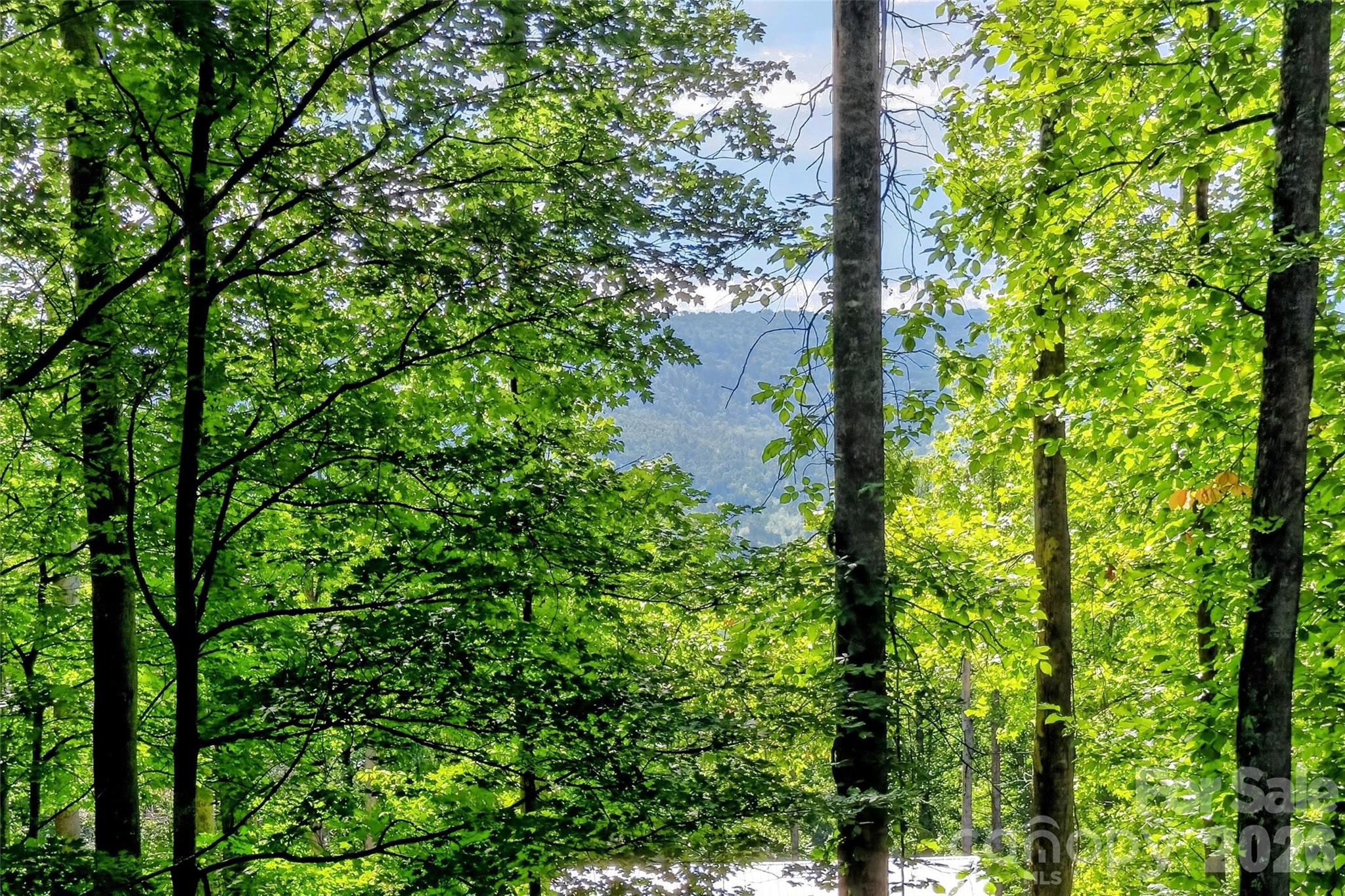 43 Clinchfield Gap Road Property Photo 35