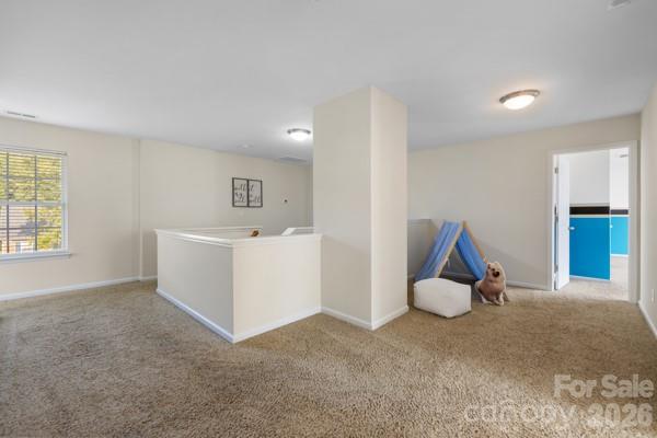 6006 Brook Valley Run Property Photo 28