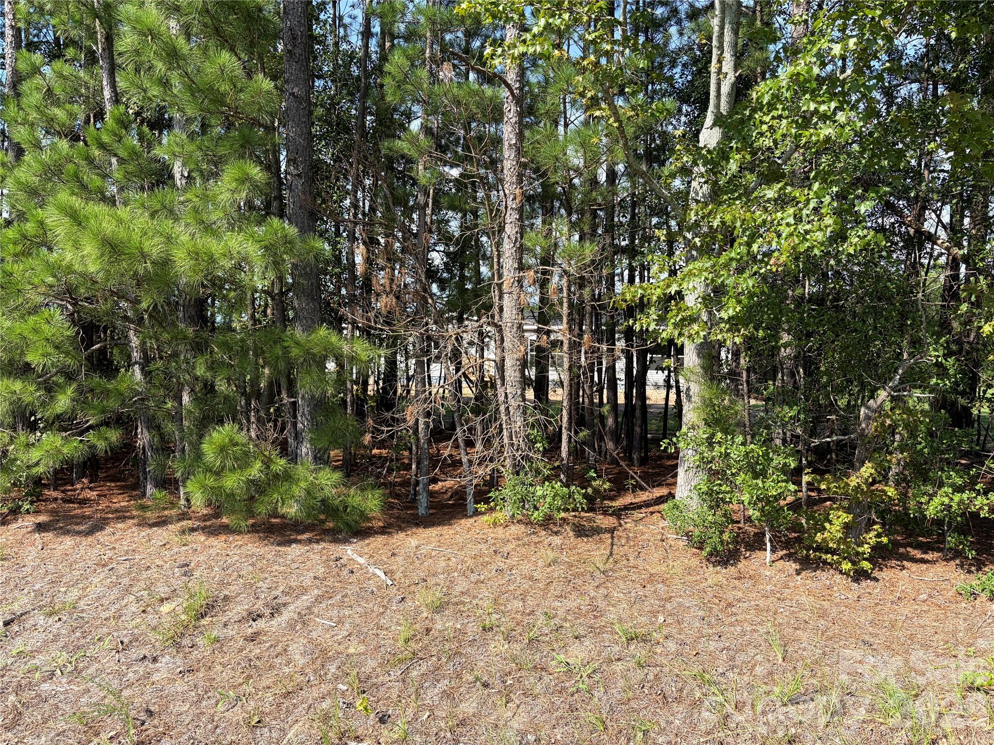 816 Hough Street Property Photo 37