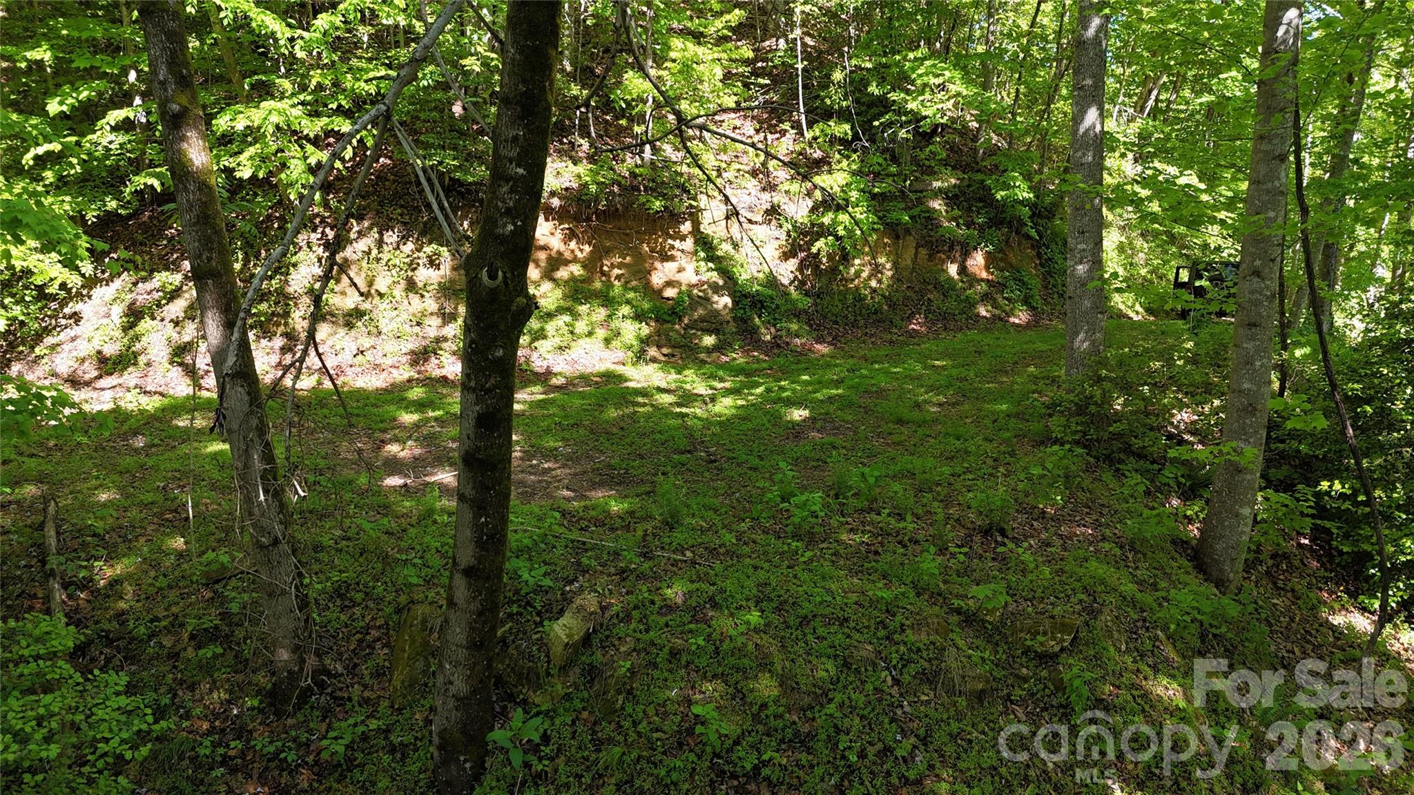 Tbd Valley Drive Property Photo 2