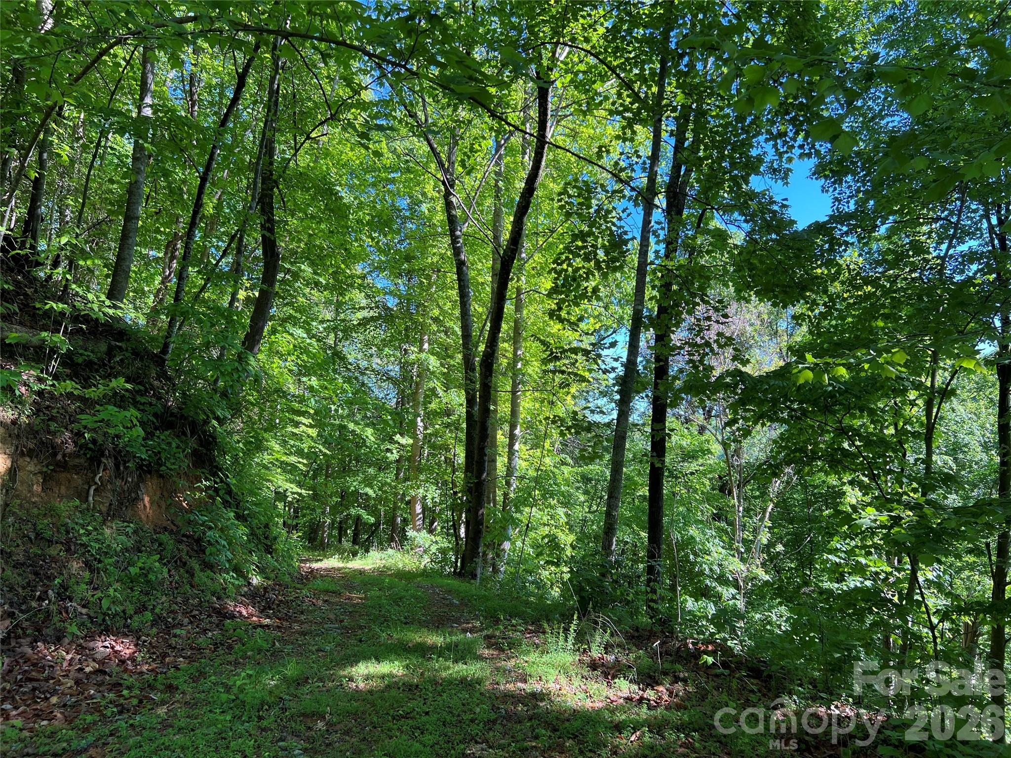 Tbd Valley Drive Property Photo 3
