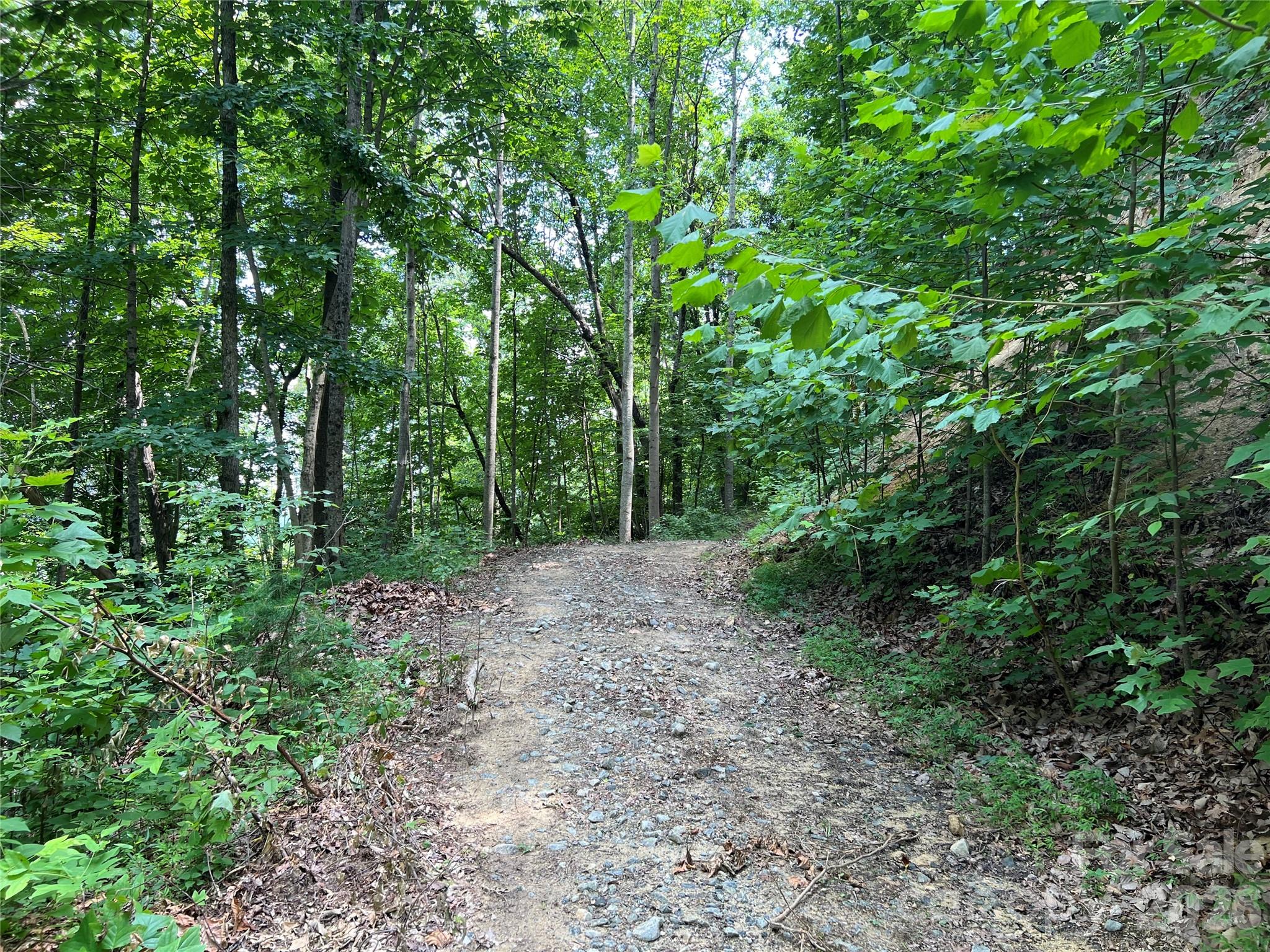 Tbd Valley Drive Property Photo 5
