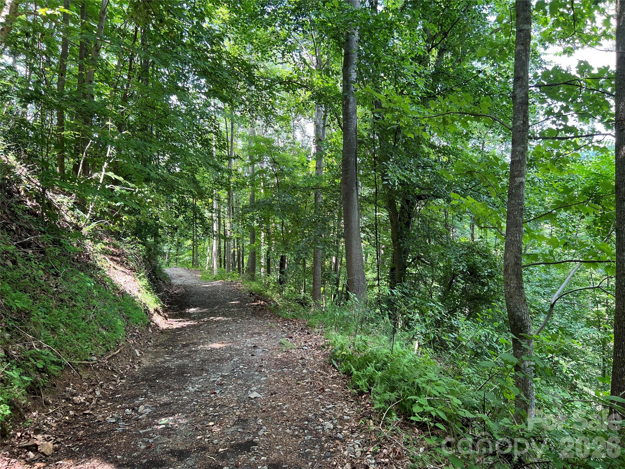 Tbd Valley Drive Property Photo 9