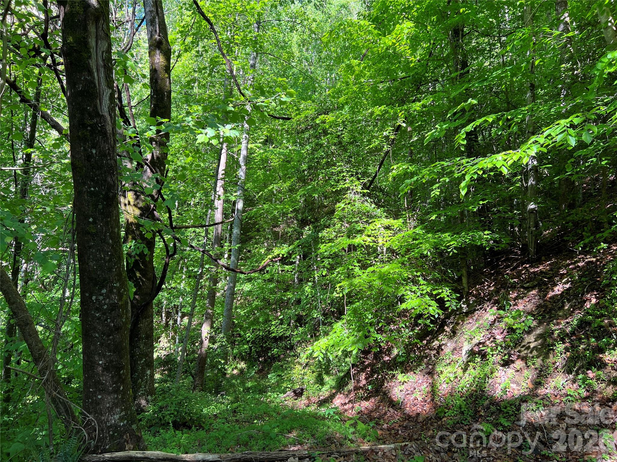 Tbd Valley Drive Property Photo 12