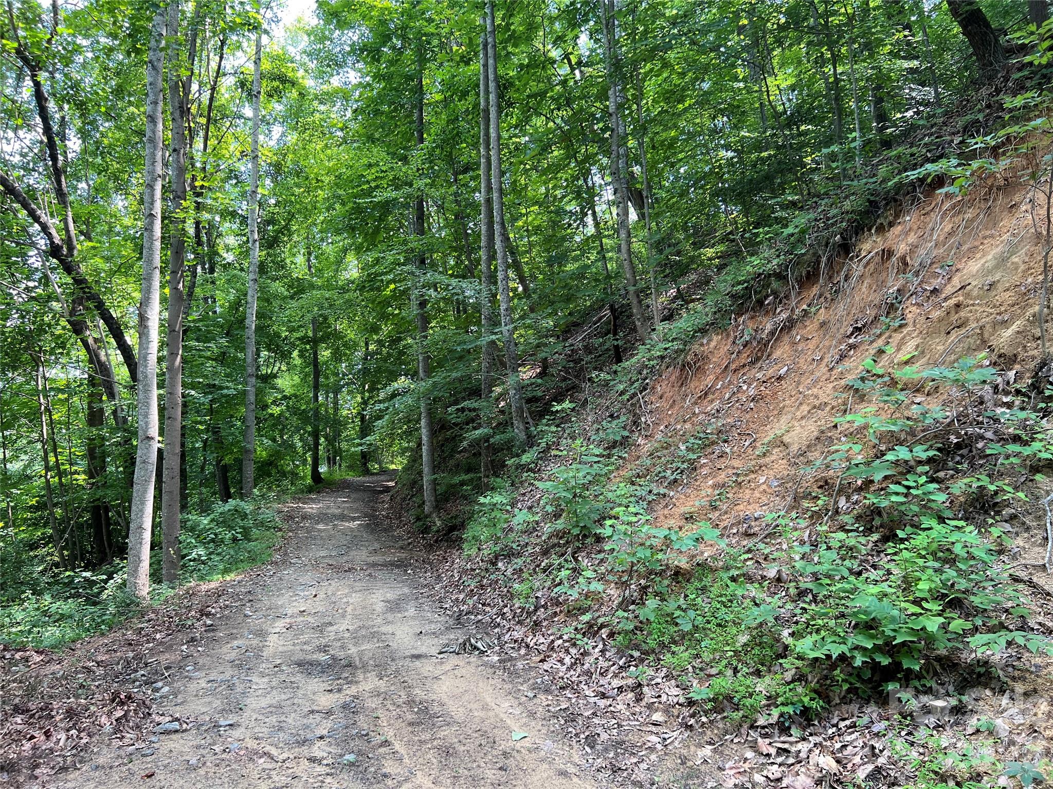 Tbd Valley Drive Property Photo 14