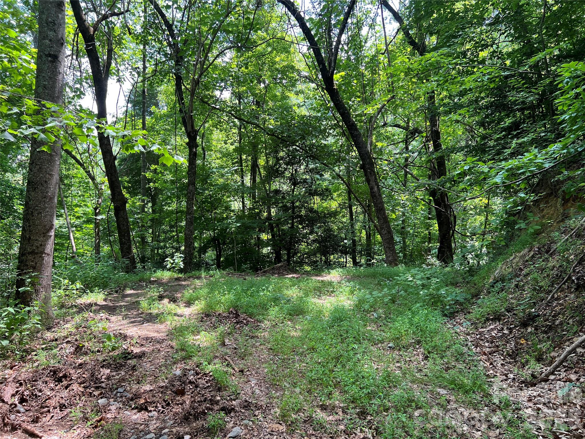 Tbd Valley Drive Property Photo 15