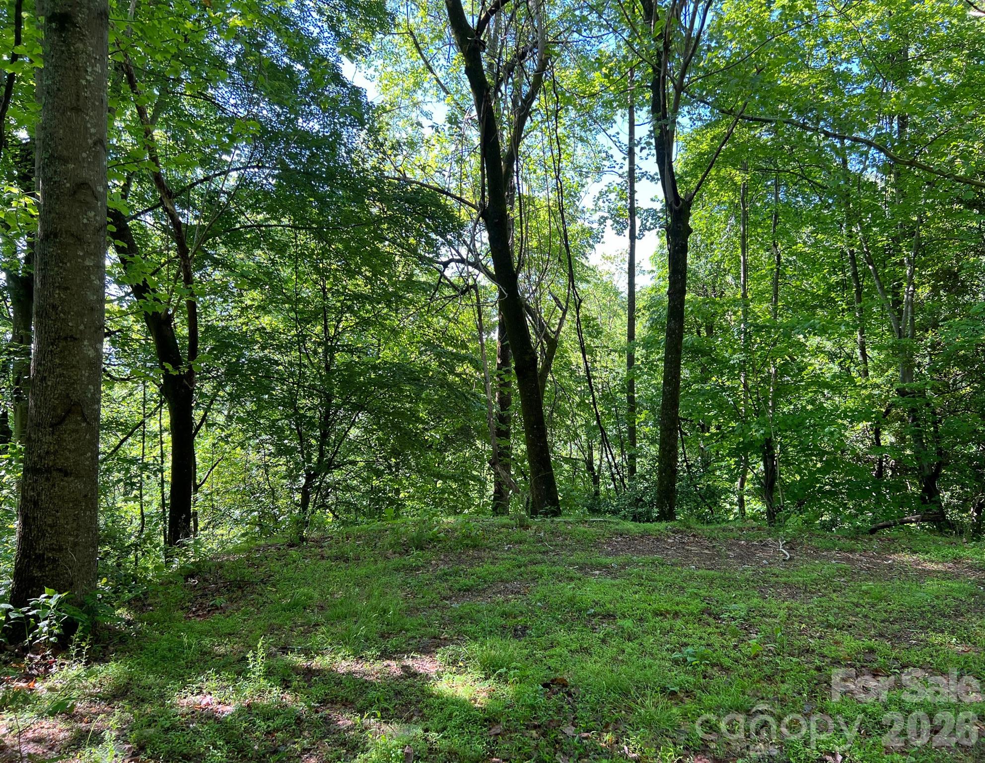 Tbd Valley Drive Property Photo 17