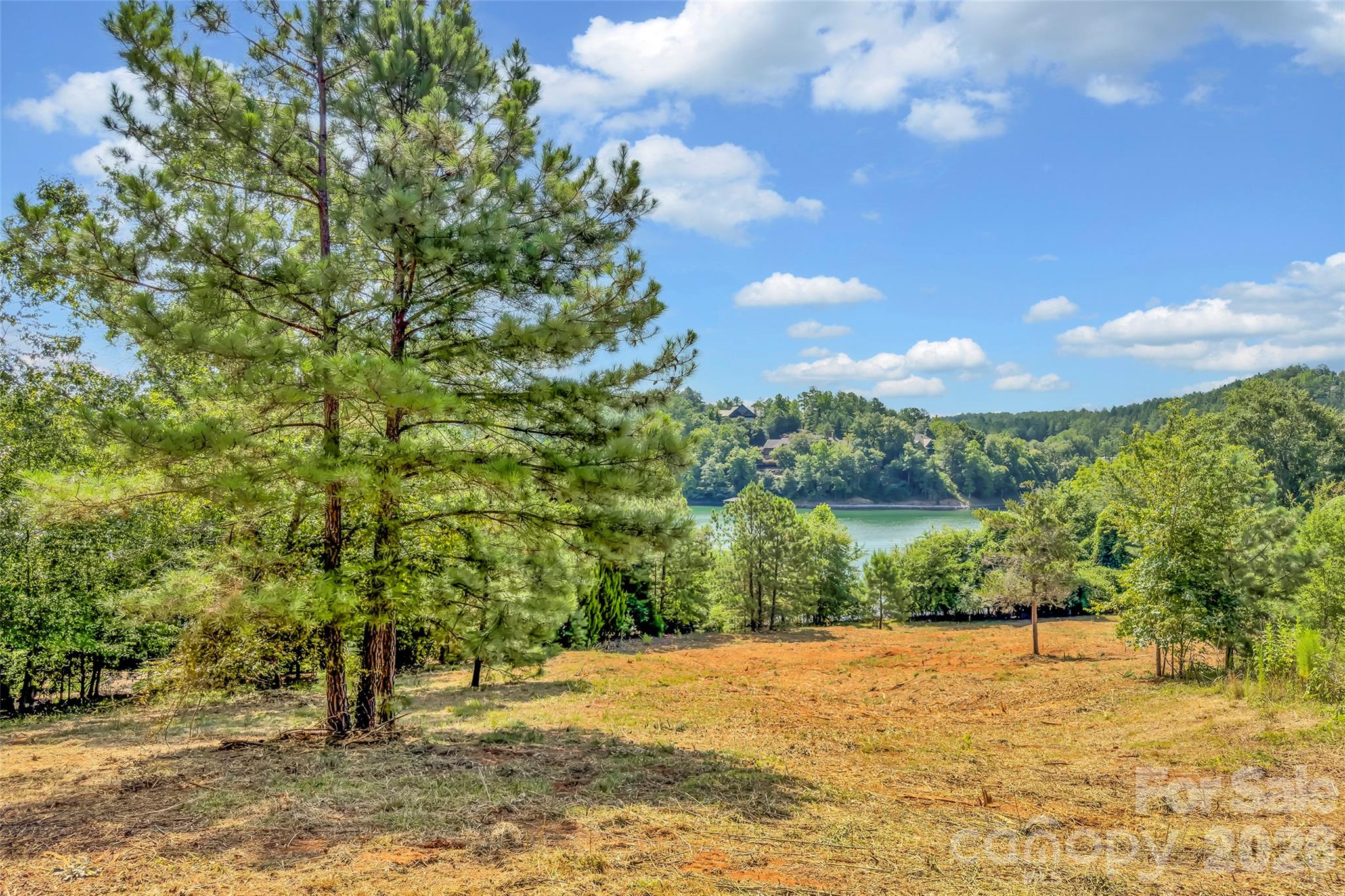 246 Long Ridge Road Property Photo 8