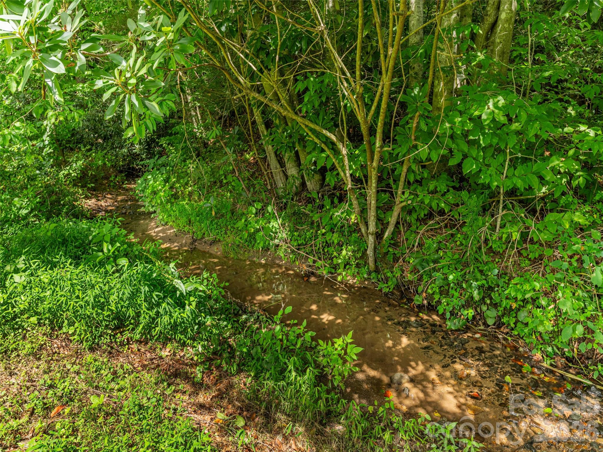 107 Tibi Lane Property Photo 41