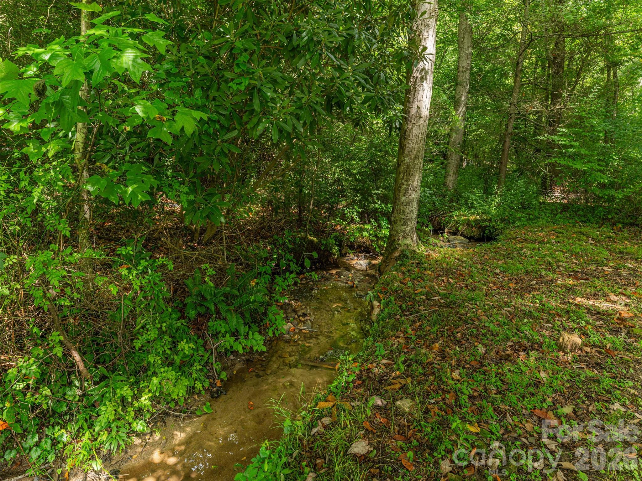 107 Tibi Lane Property Photo 42