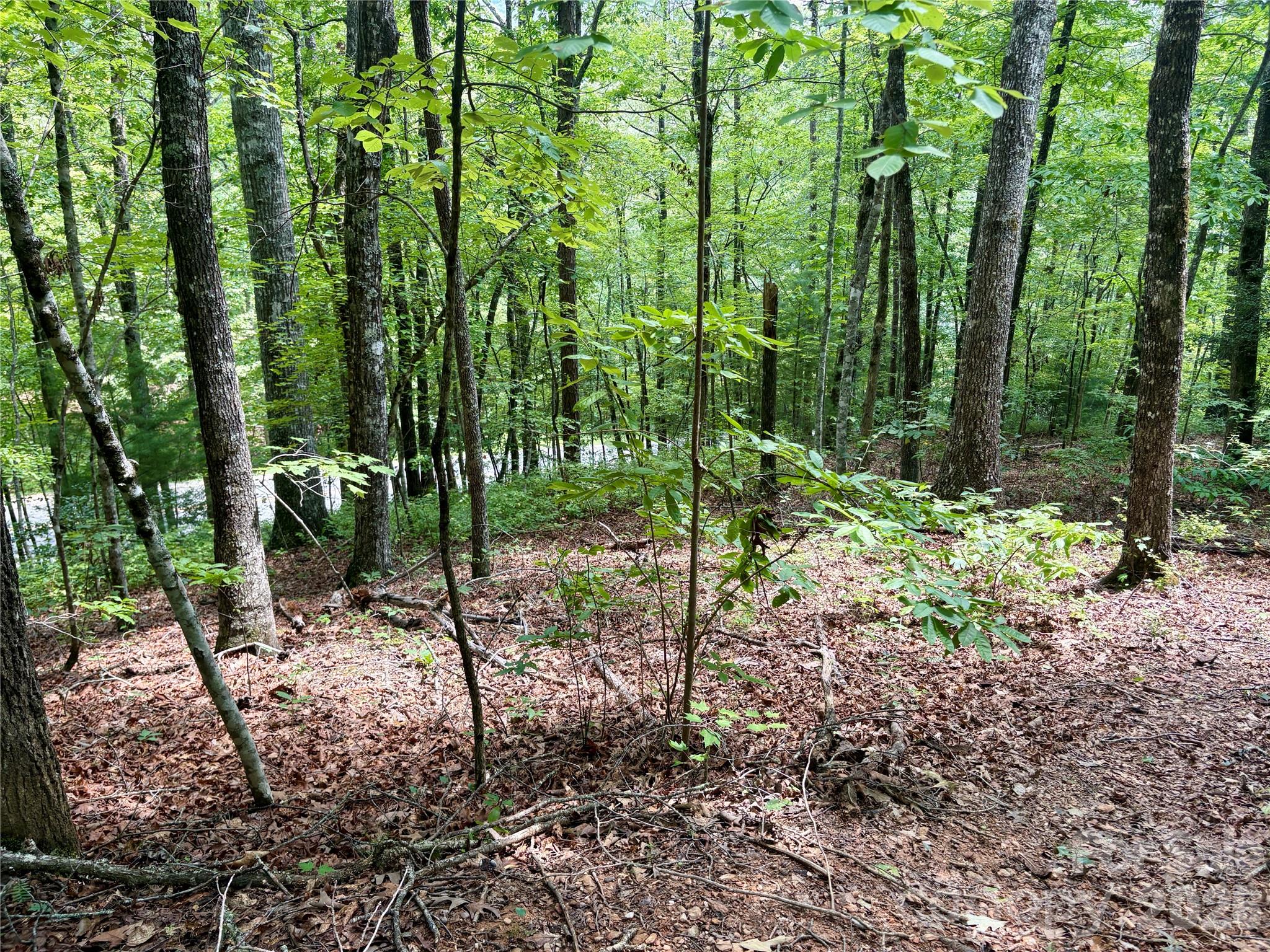 0 Watia Road Property Photo 1