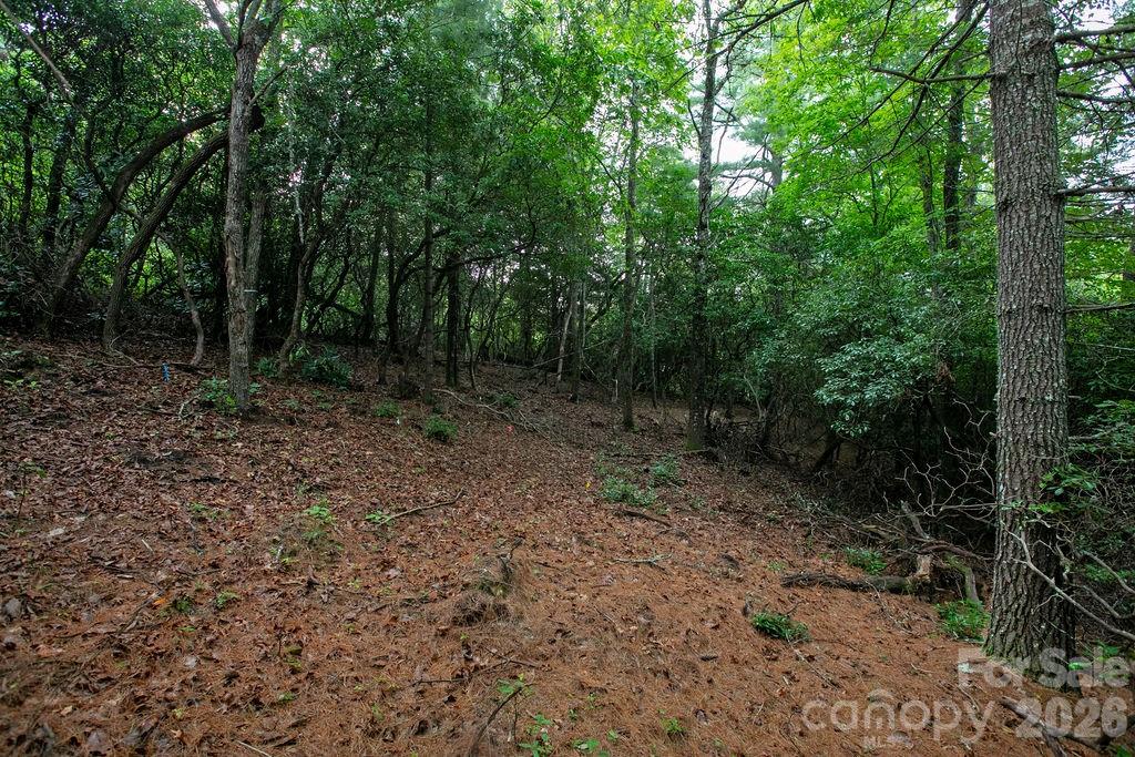Lot 10 Emma Bri Lane 10 Property Photo 7