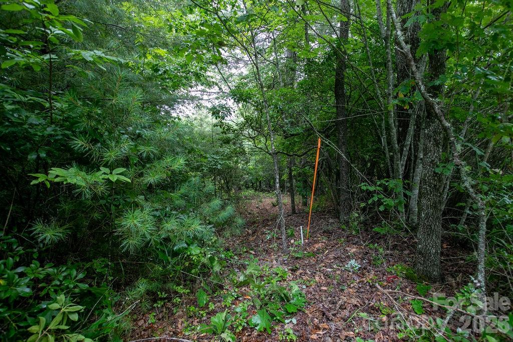 Lot 10 Emma Bri Lane 10 Property Photo 11