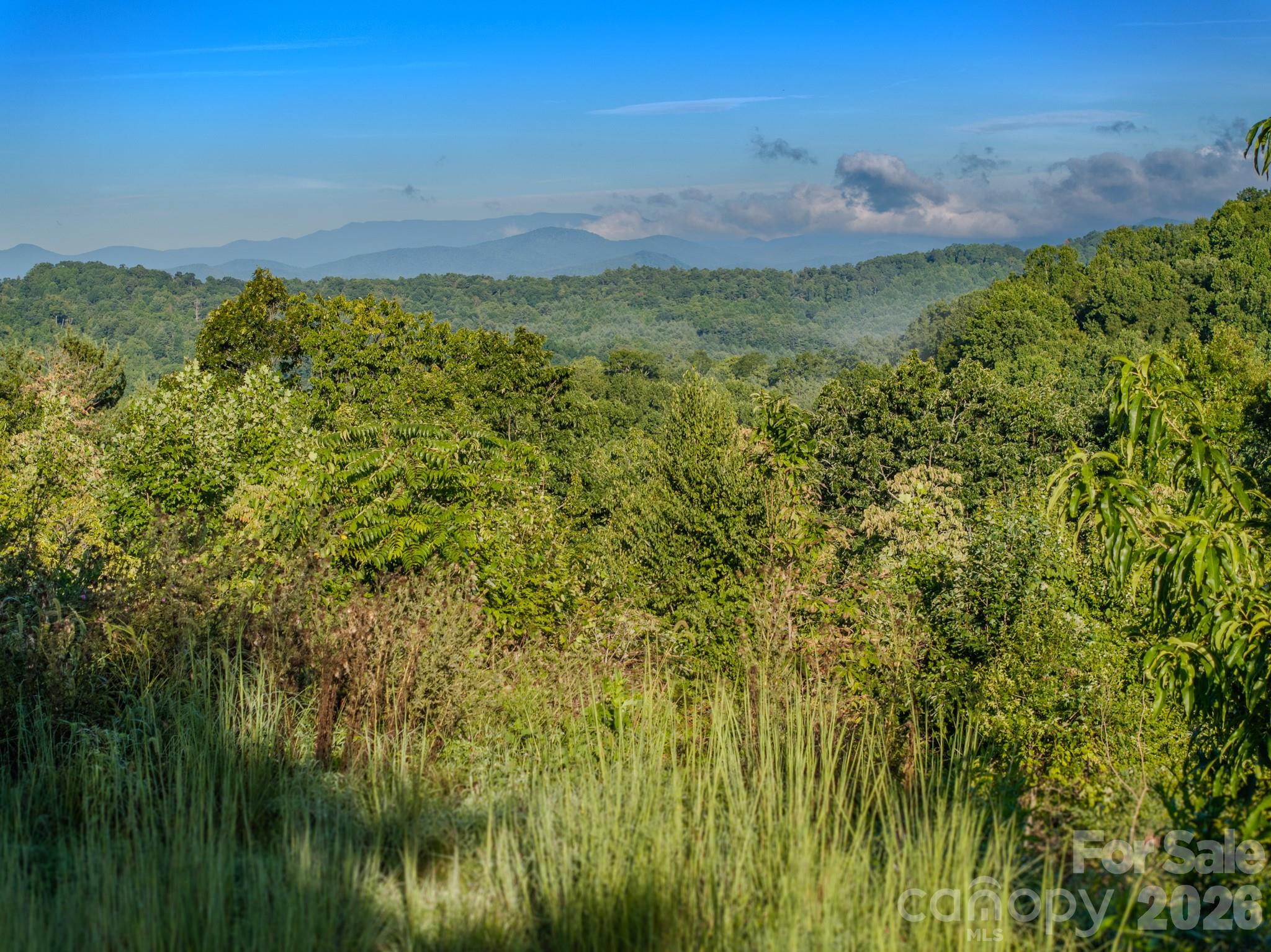 00 Skydance Trail 15 Property Photo 35
