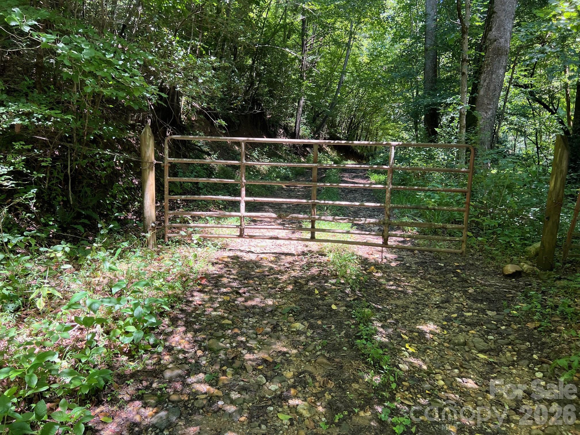 0 Old Johns River Road Property Photo 1