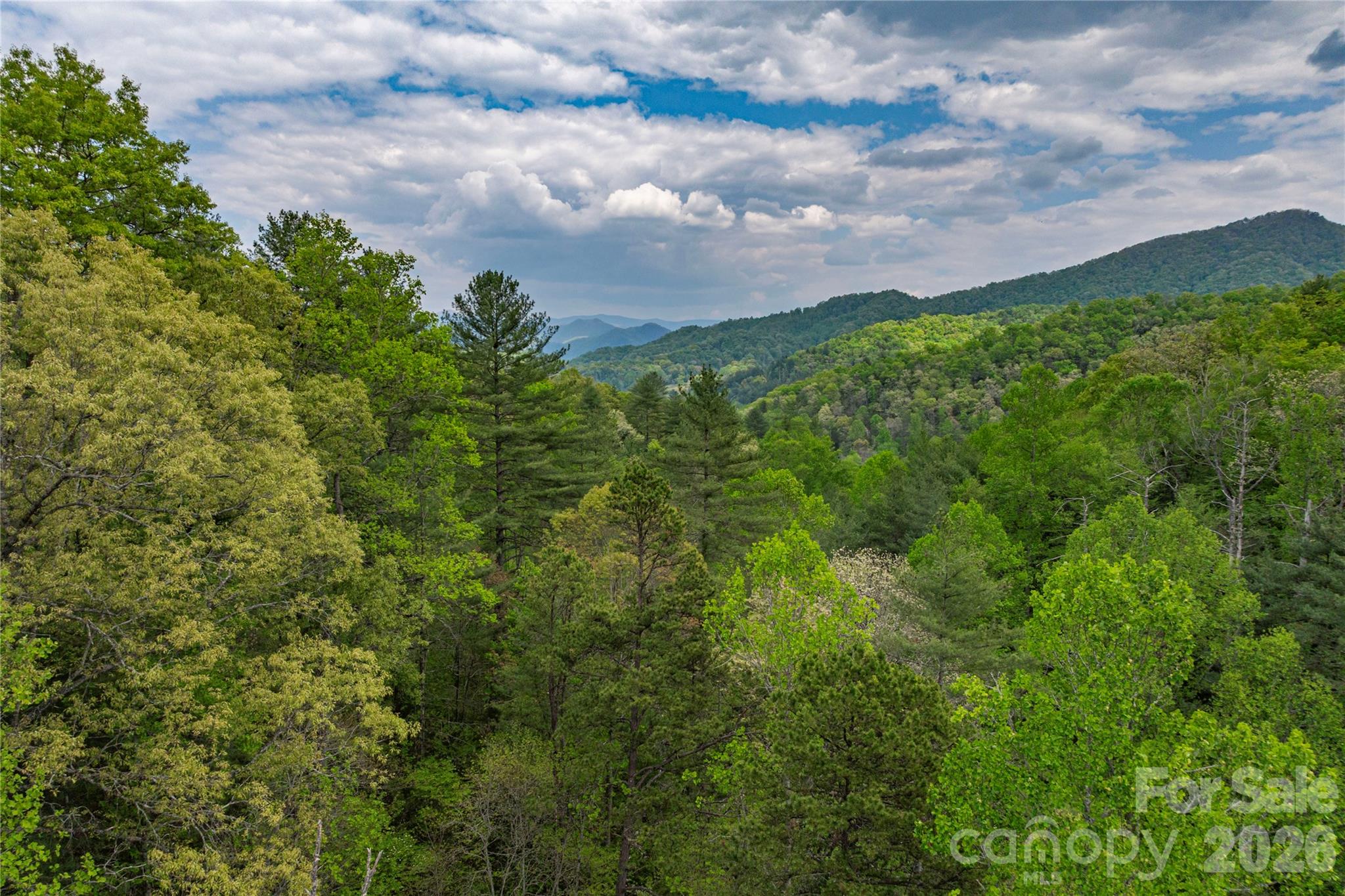 0000 Pressley Creek Road Property Photo 2
