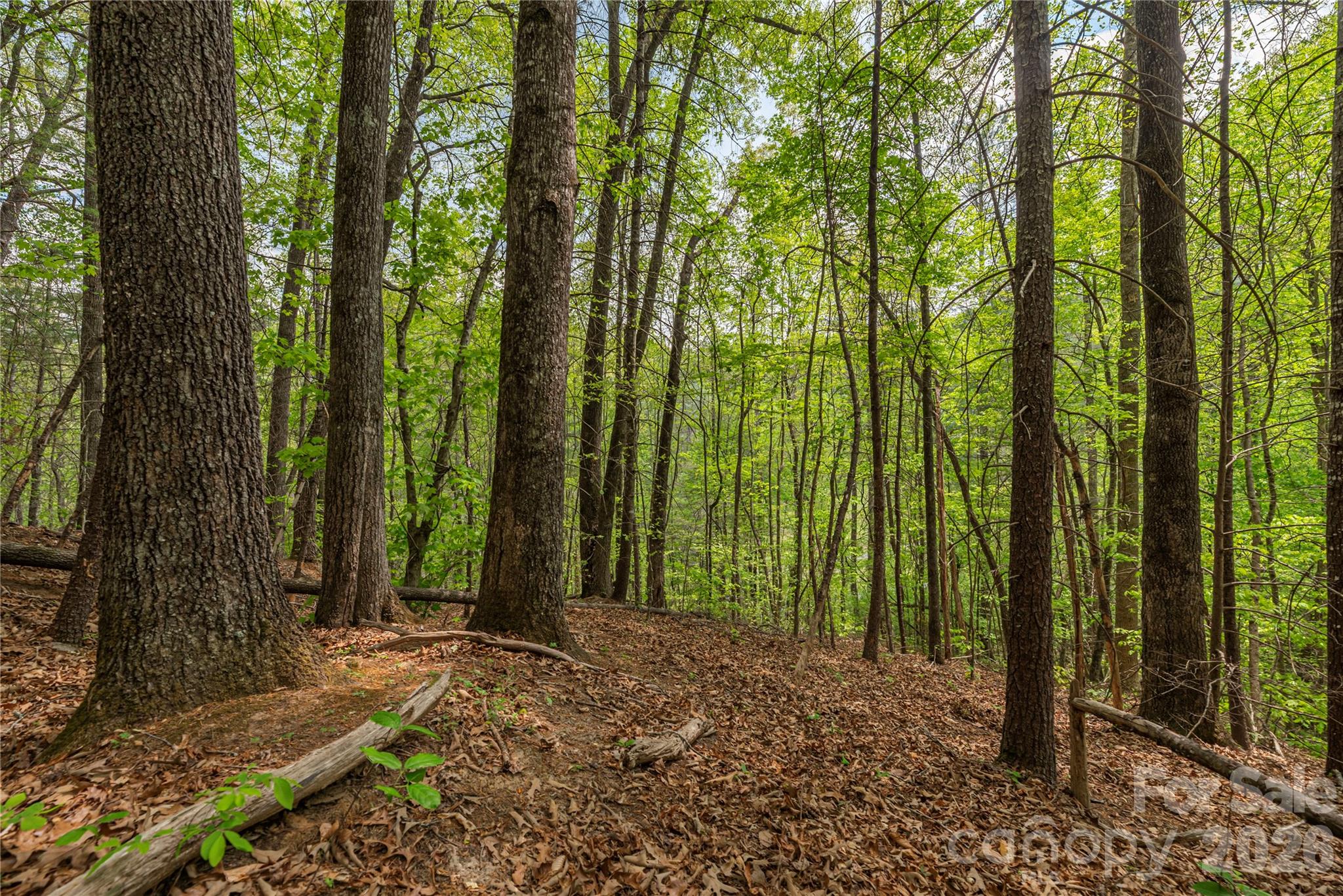 0000 Pressley Creek Road Property Photo 3