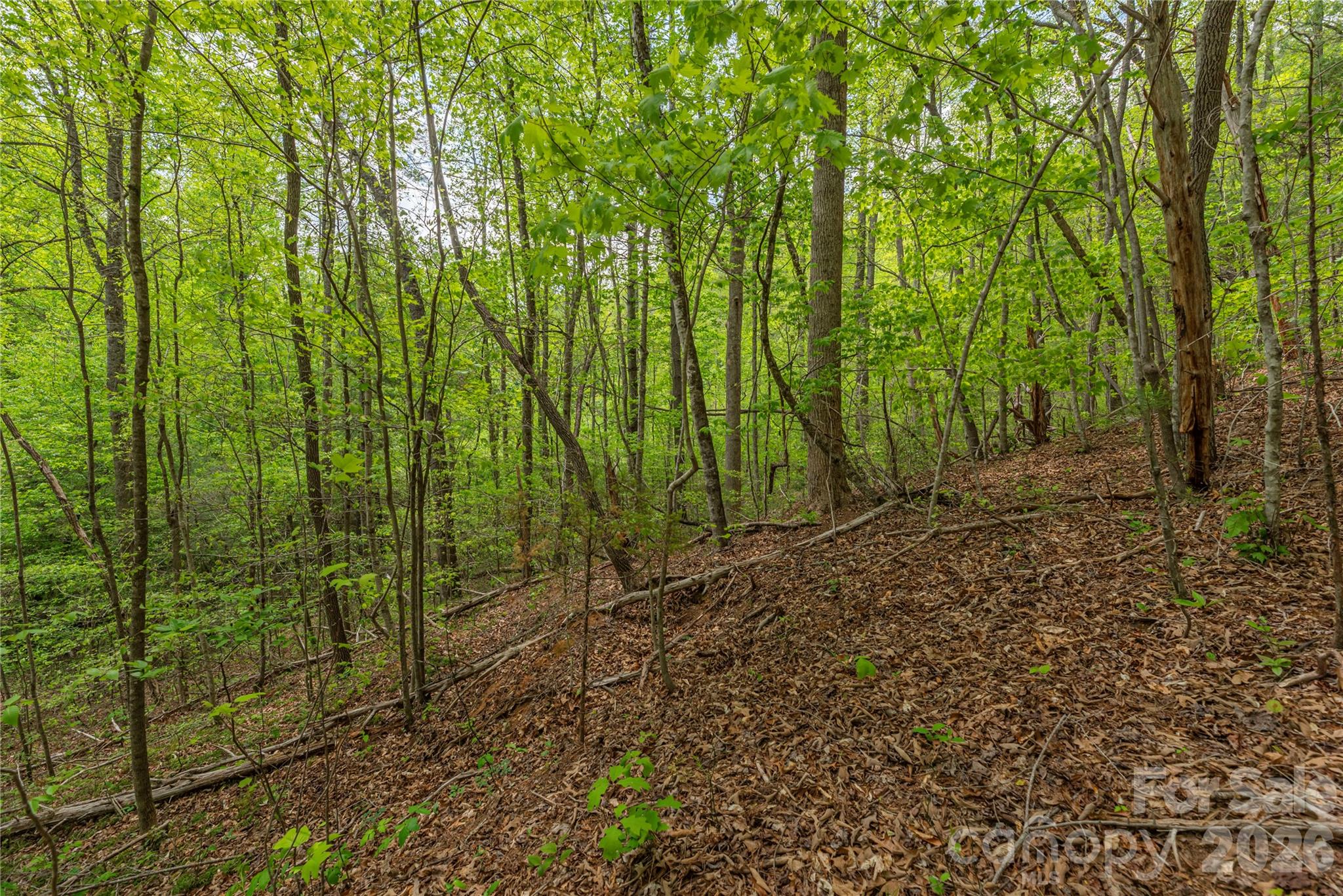 0000 Pressley Creek Road Property Photo 4