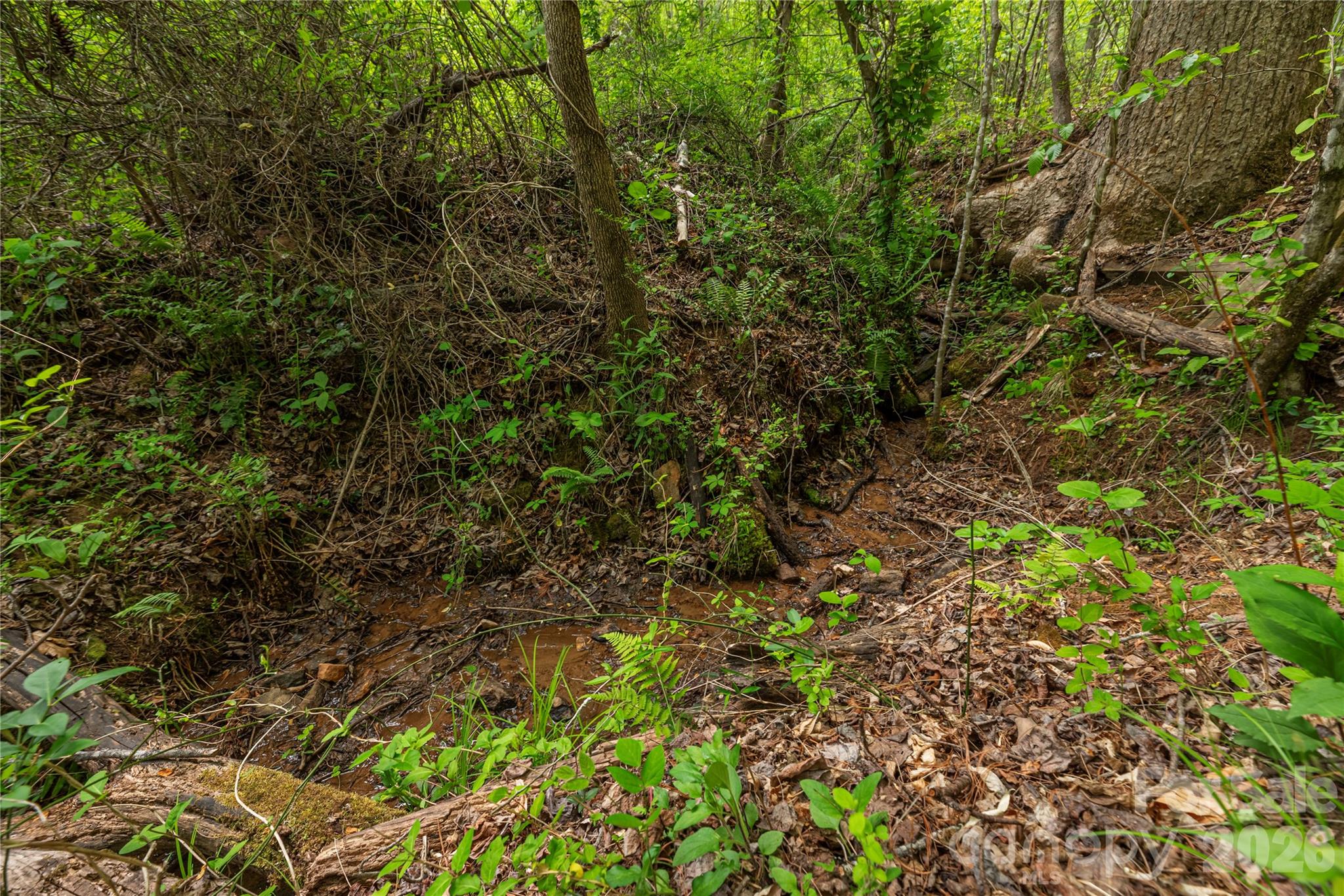 0000 Pressley Creek Road Property Photo 7