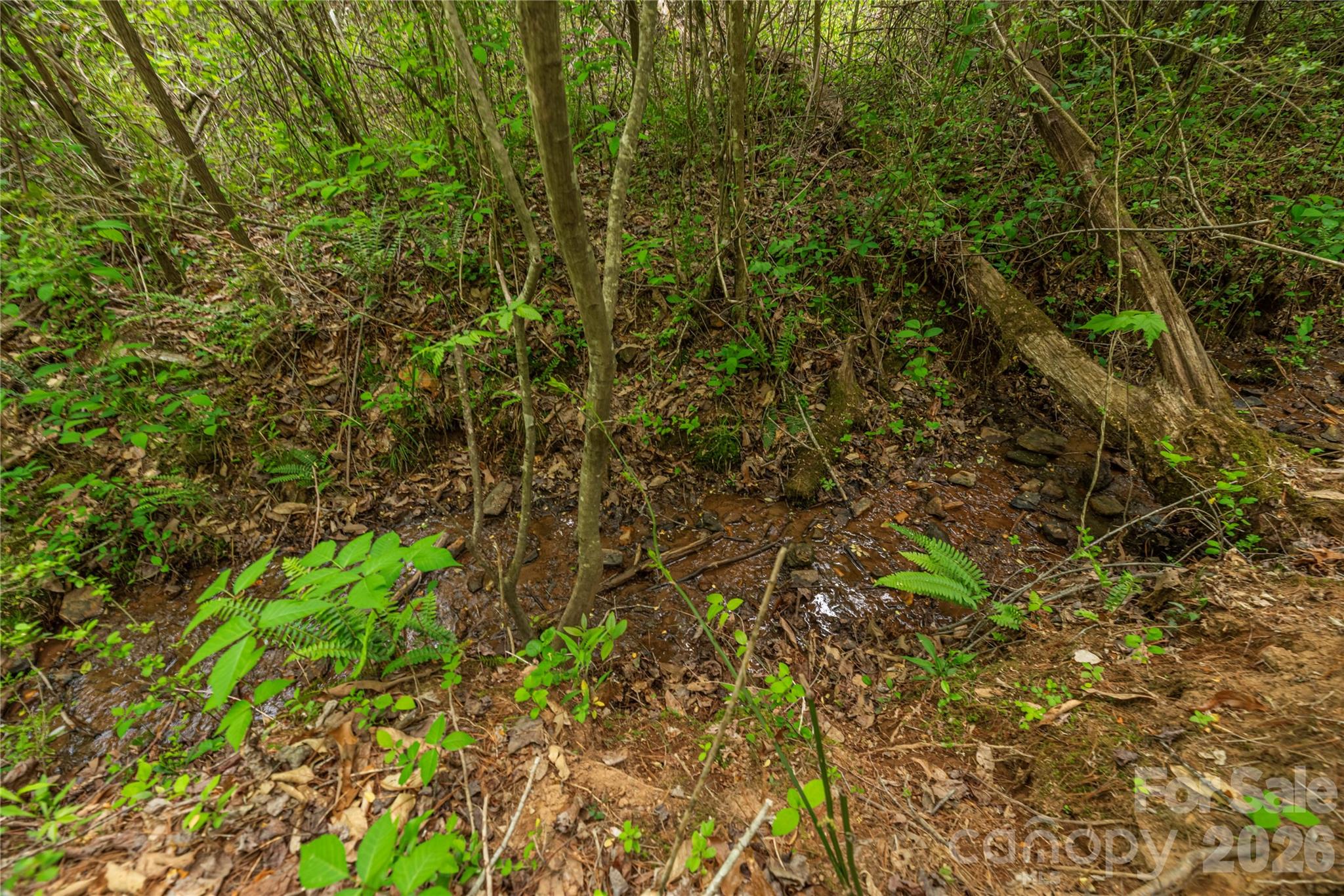 0000 Pressley Creek Road Property Photo 8