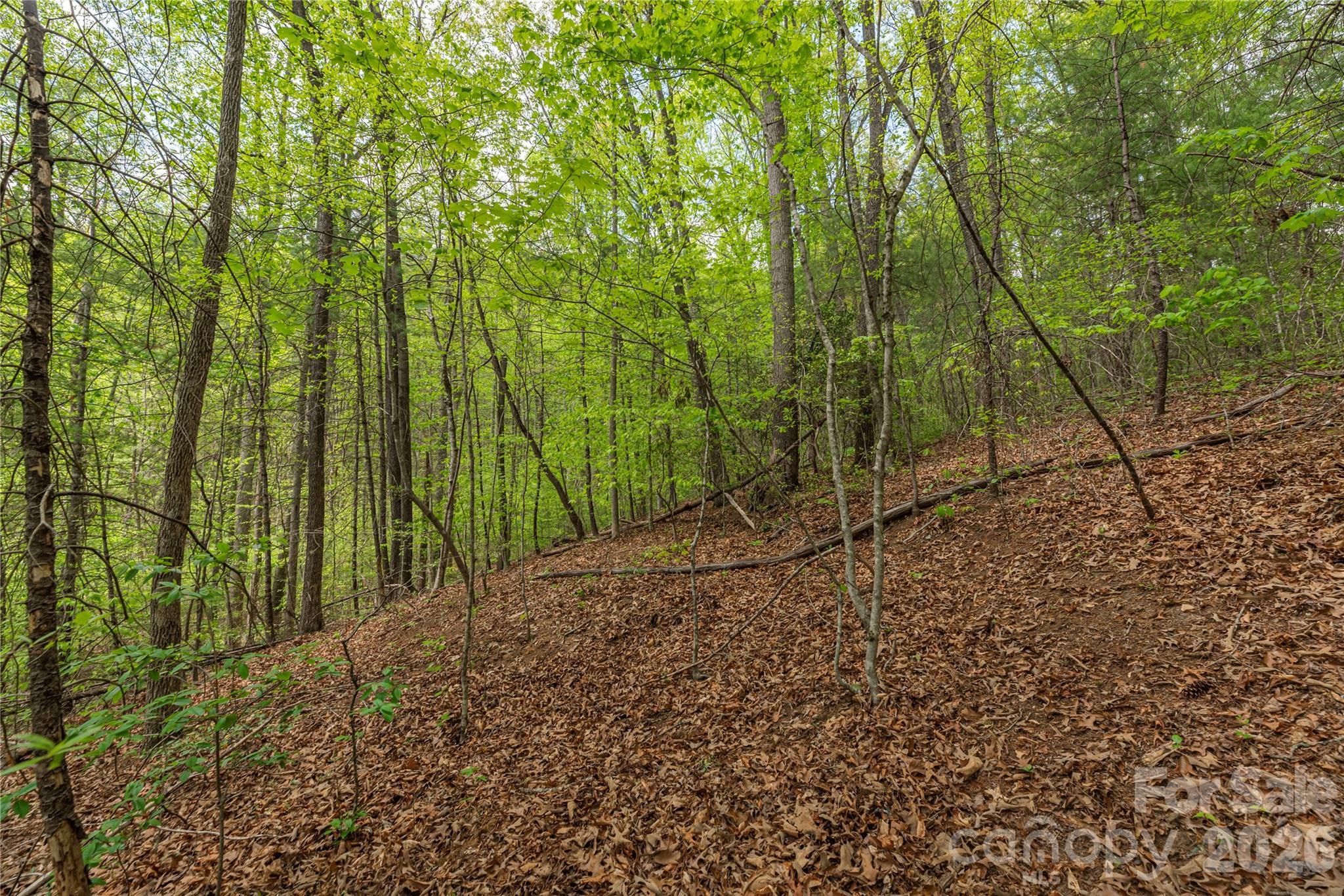 0000 Pressley Creek Road Property Photo 9