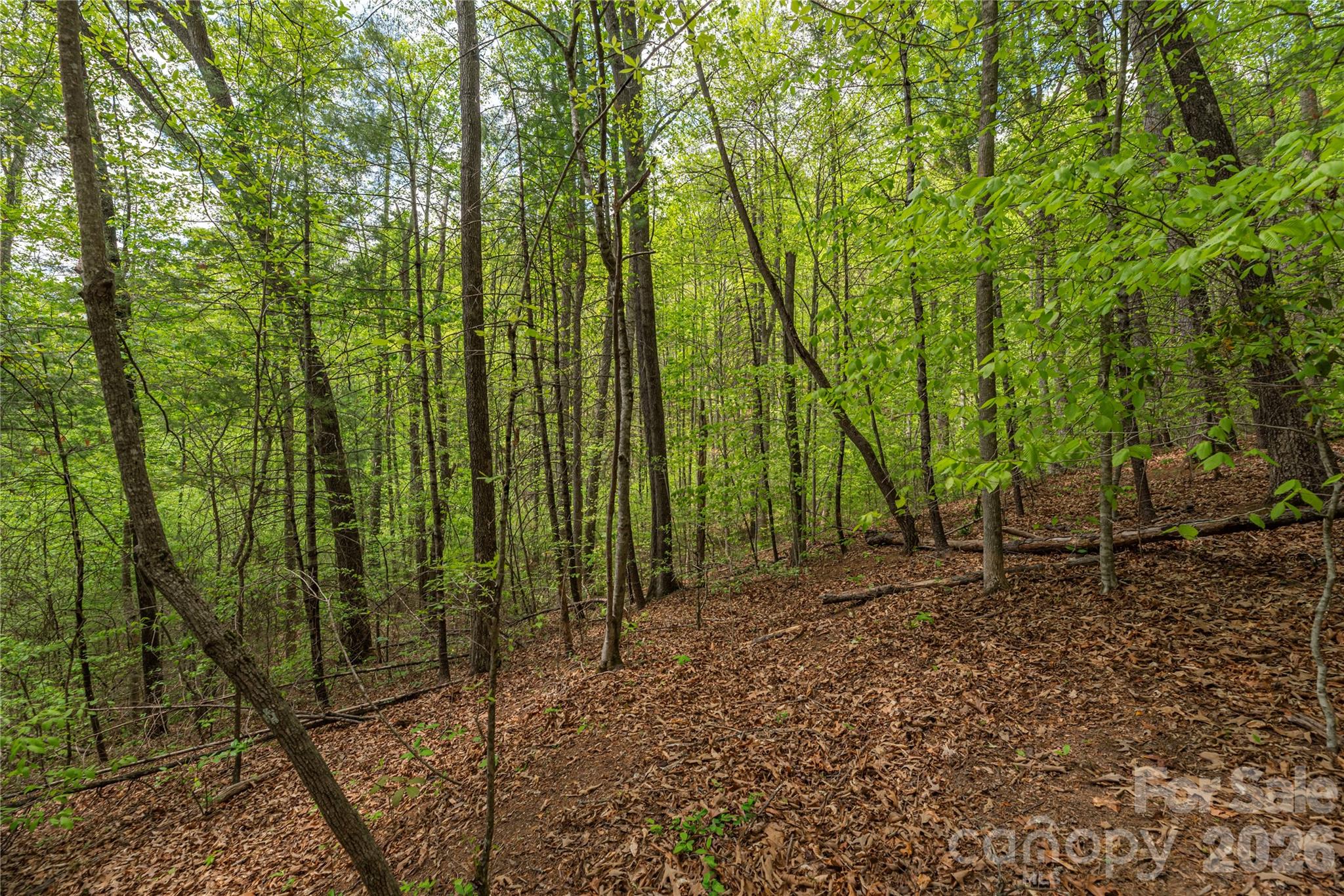 0000 Pressley Creek Road Property Photo 10