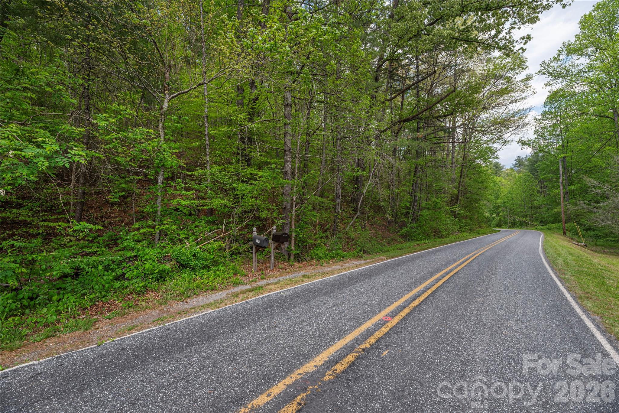 0000 Pressley Creek Road Property Photo 11