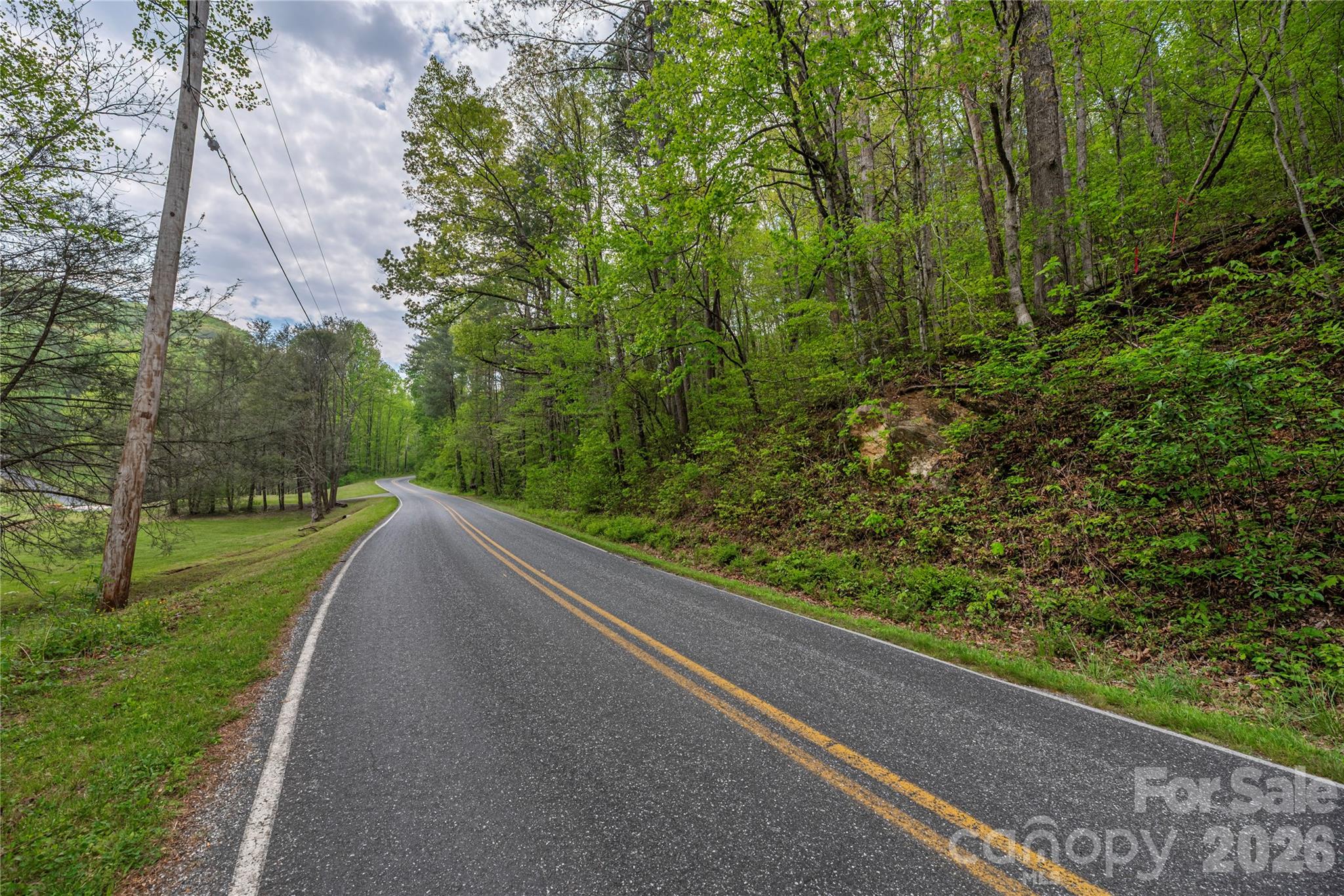 0000 Pressley Creek Road Property Photo 12