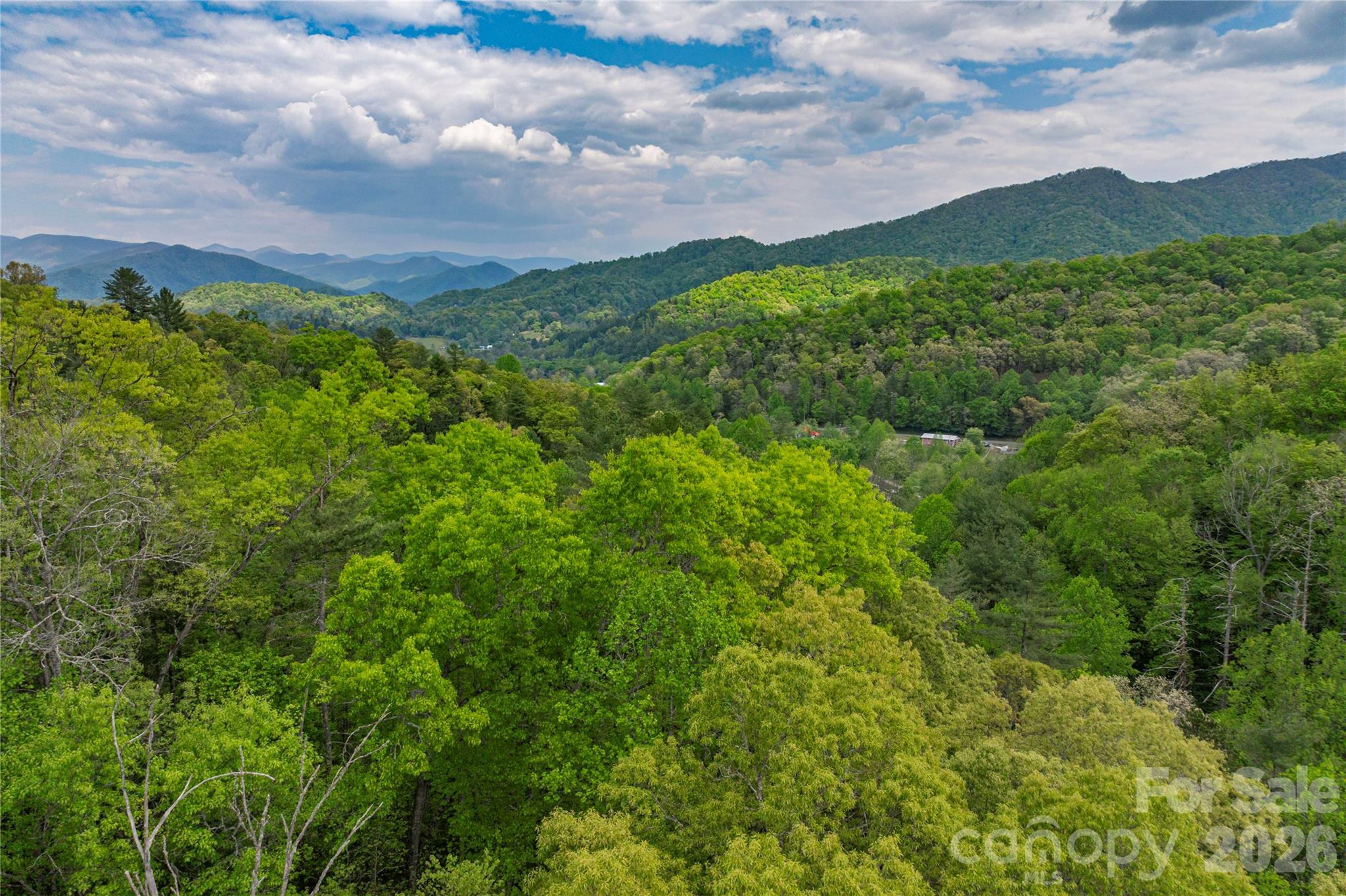 0000 Pressley Creek Road Property Photo 13