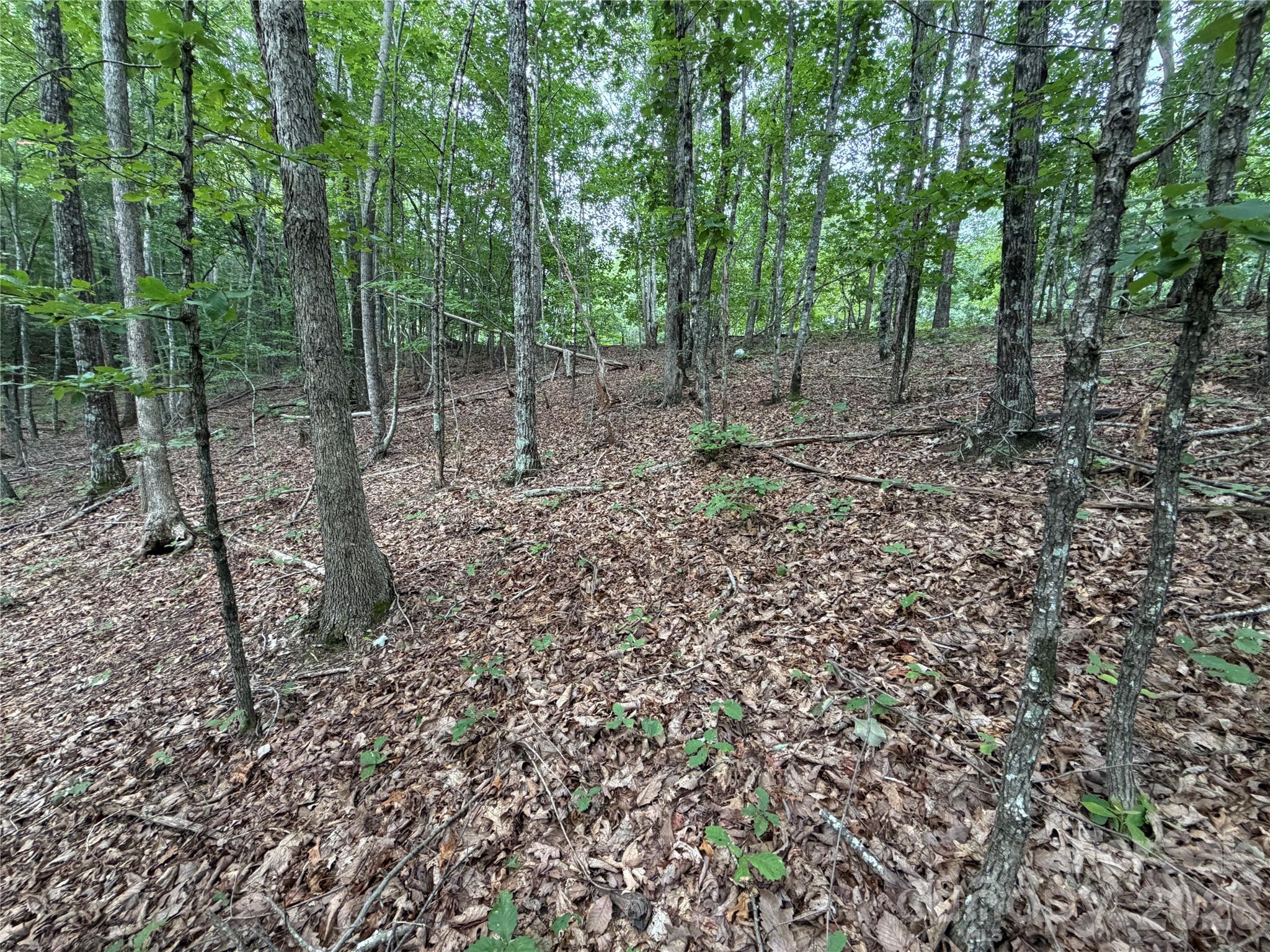 69 Idlewild Drive Property Photo 6