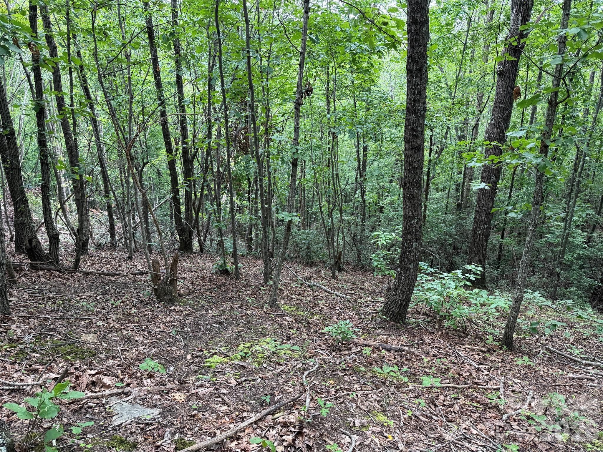 69 Idlewild Drive Property Photo 8