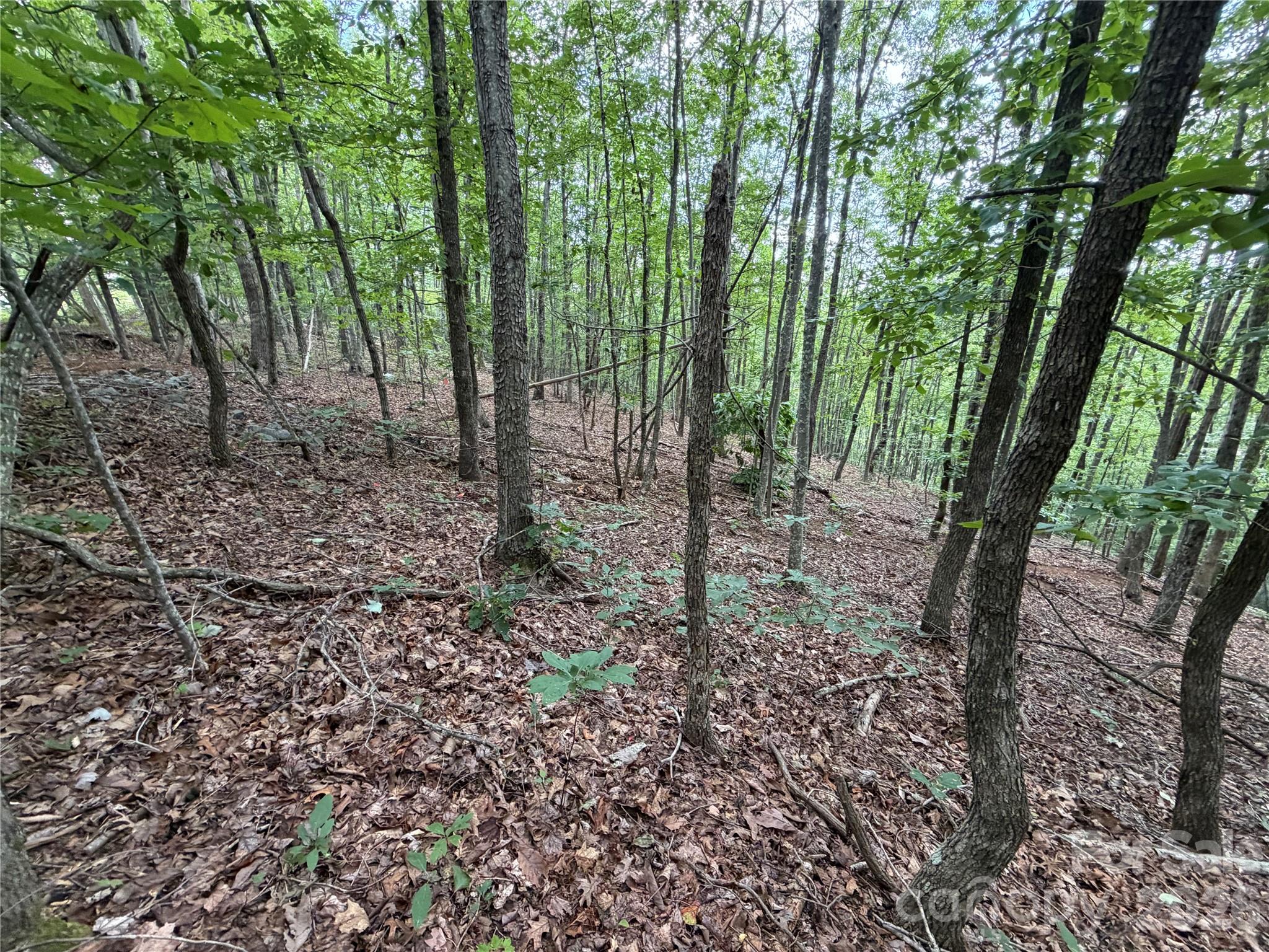 69 Idlewild Drive Property Photo 9
