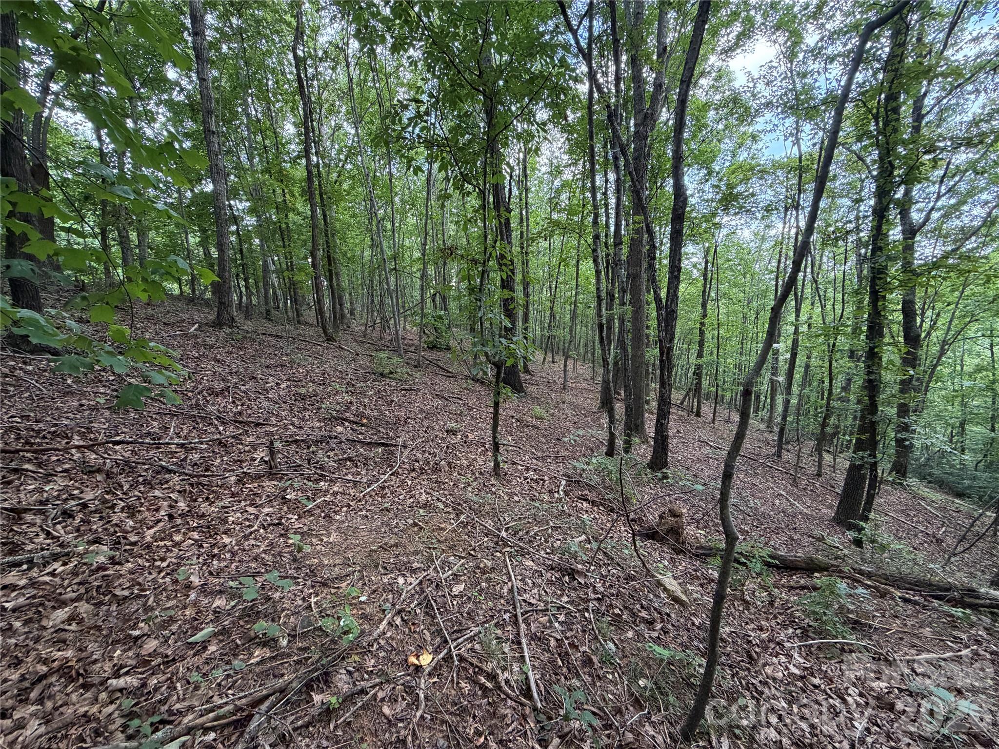 69 Idlewild Drive Property Photo 10