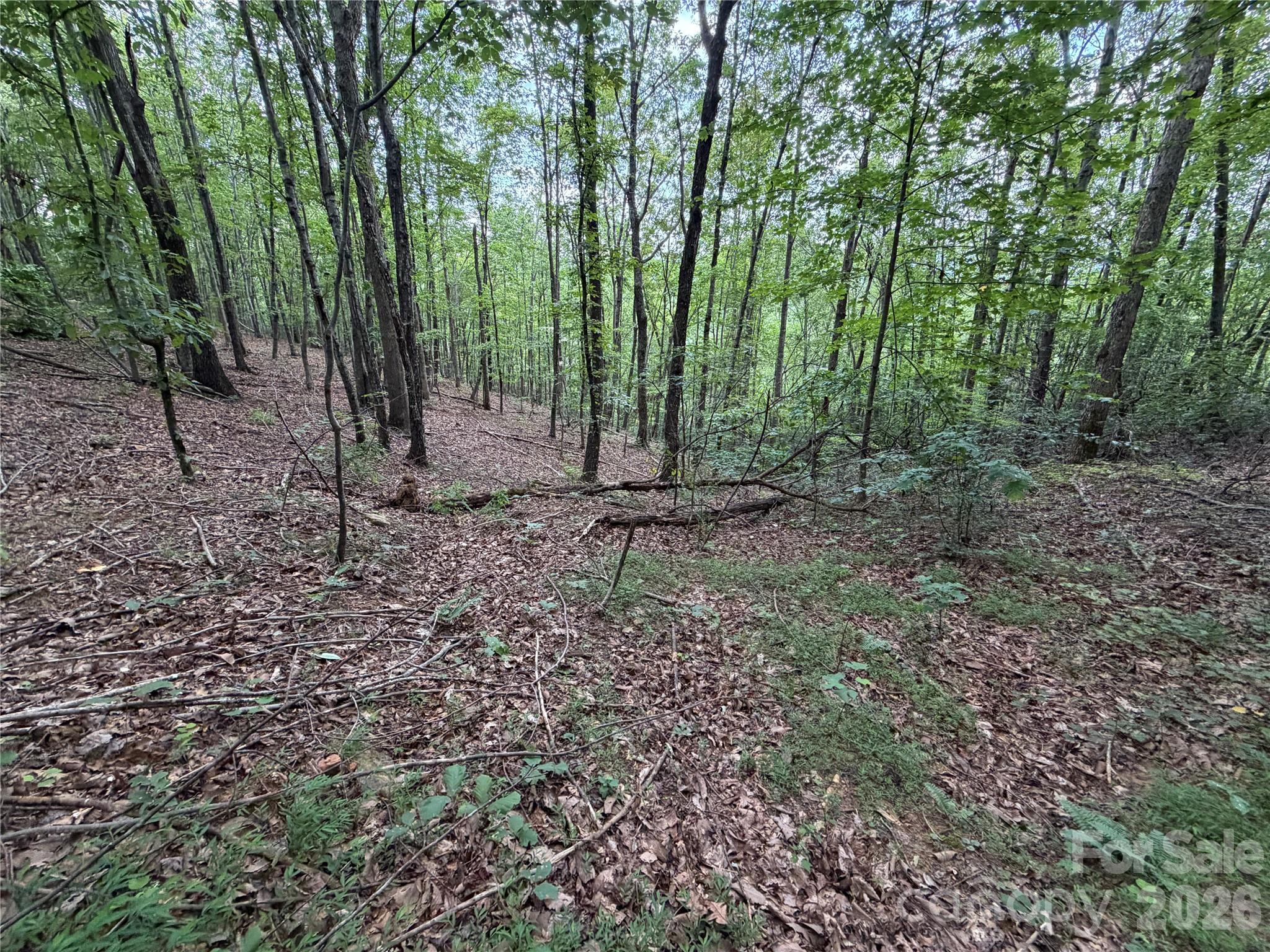 69 Idlewild Drive Property Photo 11