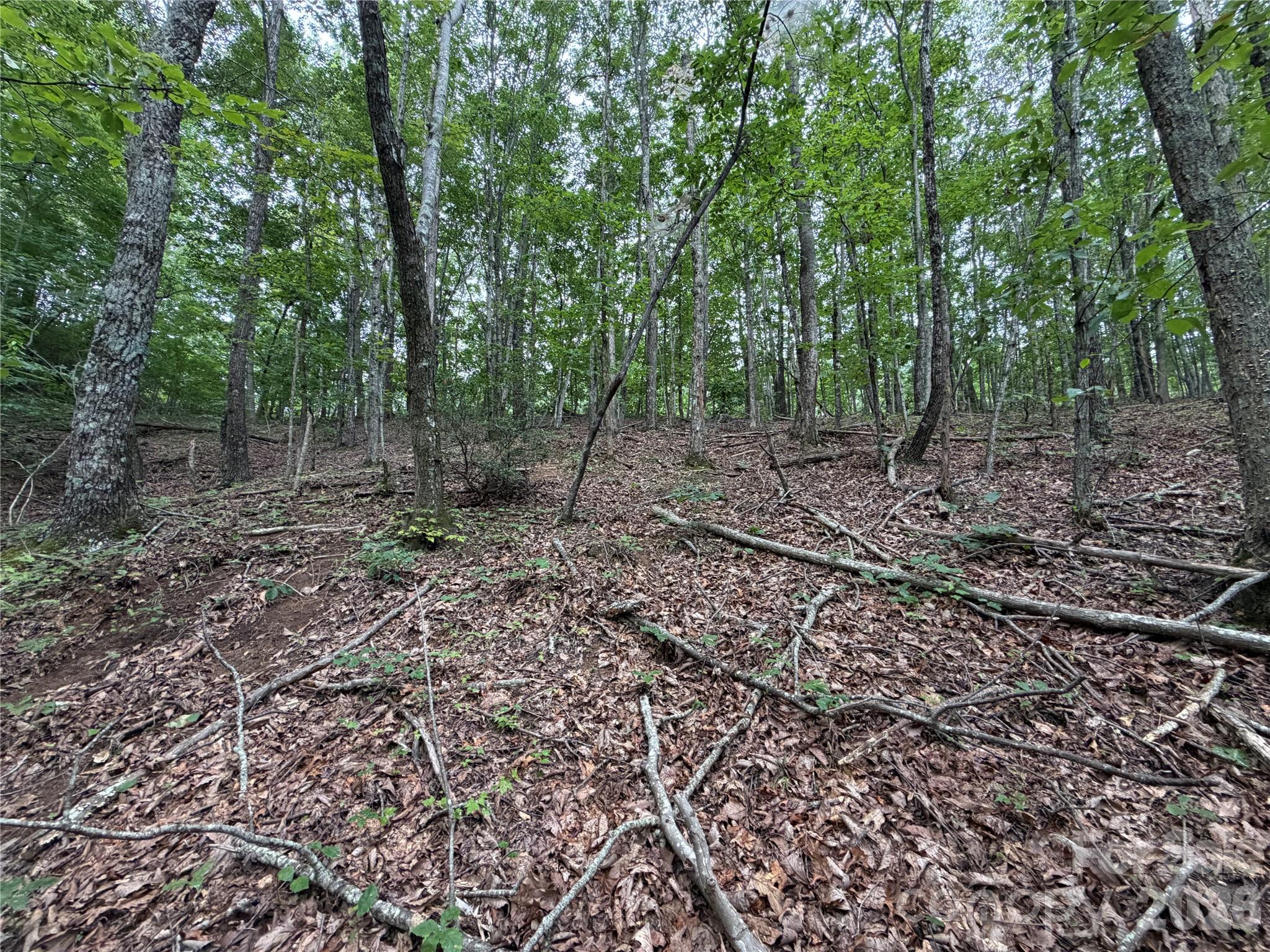 69 Idlewild Drive Property Photo 12